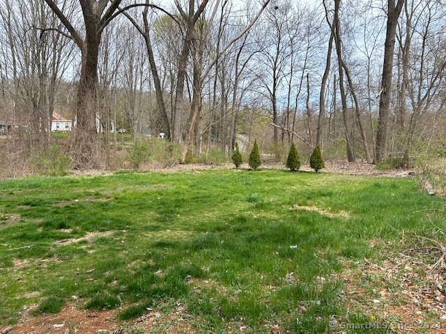 a big yard with lots of green space and trees