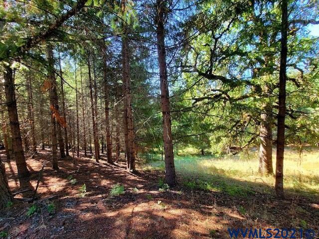 2610 Reuben Boise Road Dallas, OR 97338 - Photo 27 of 37