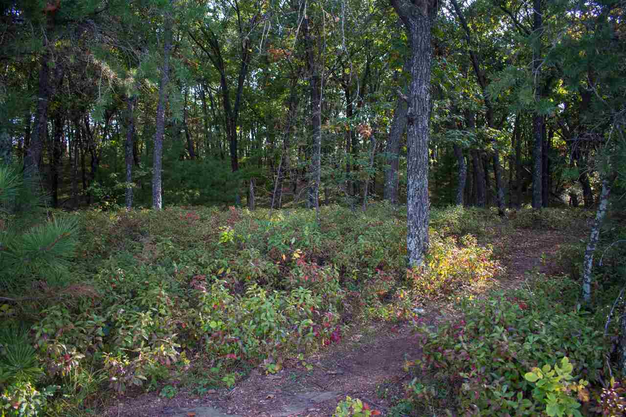 N7165 Timber Rdg Lane New Lisbon, WI 53950 - Photo 3 of 13