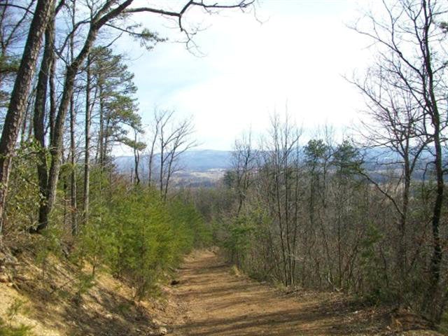0 Middle Fork Road Marion, VA 24354 - Photo 1 of 1 Gallery Image 1