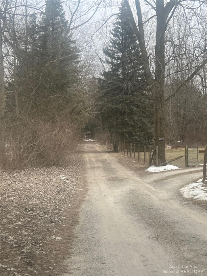 8225 Grossman Road Manchester, MI 48158 - Photo 3 of 41