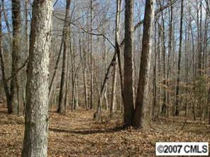 0 Hunter Rhyne Road Lincolnton, NC 28092 - Photo 8 of 8 Gallery Image 8