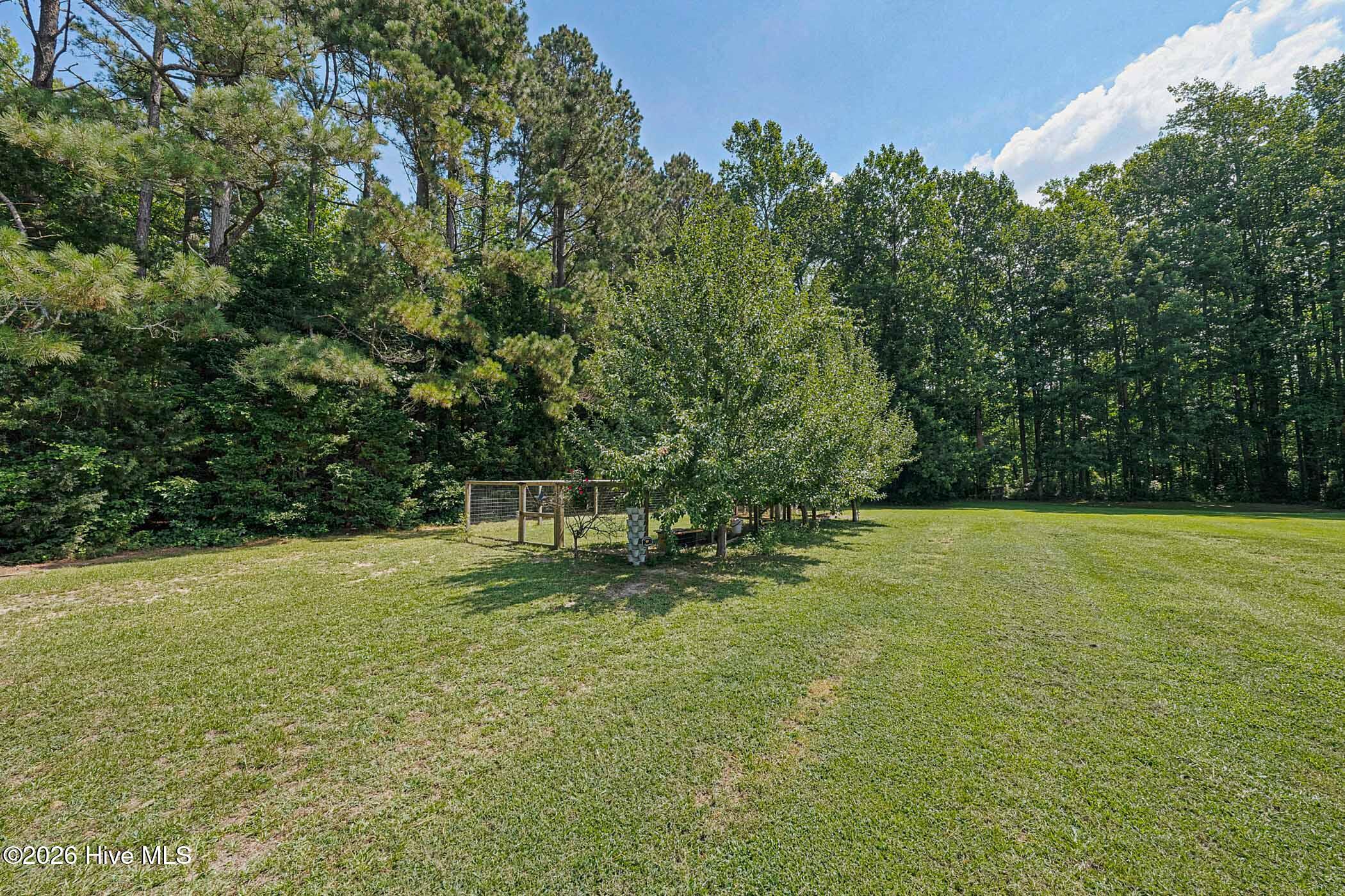 109 Riddle Court Shawboro, NC 27973 - Photo 54 of 85