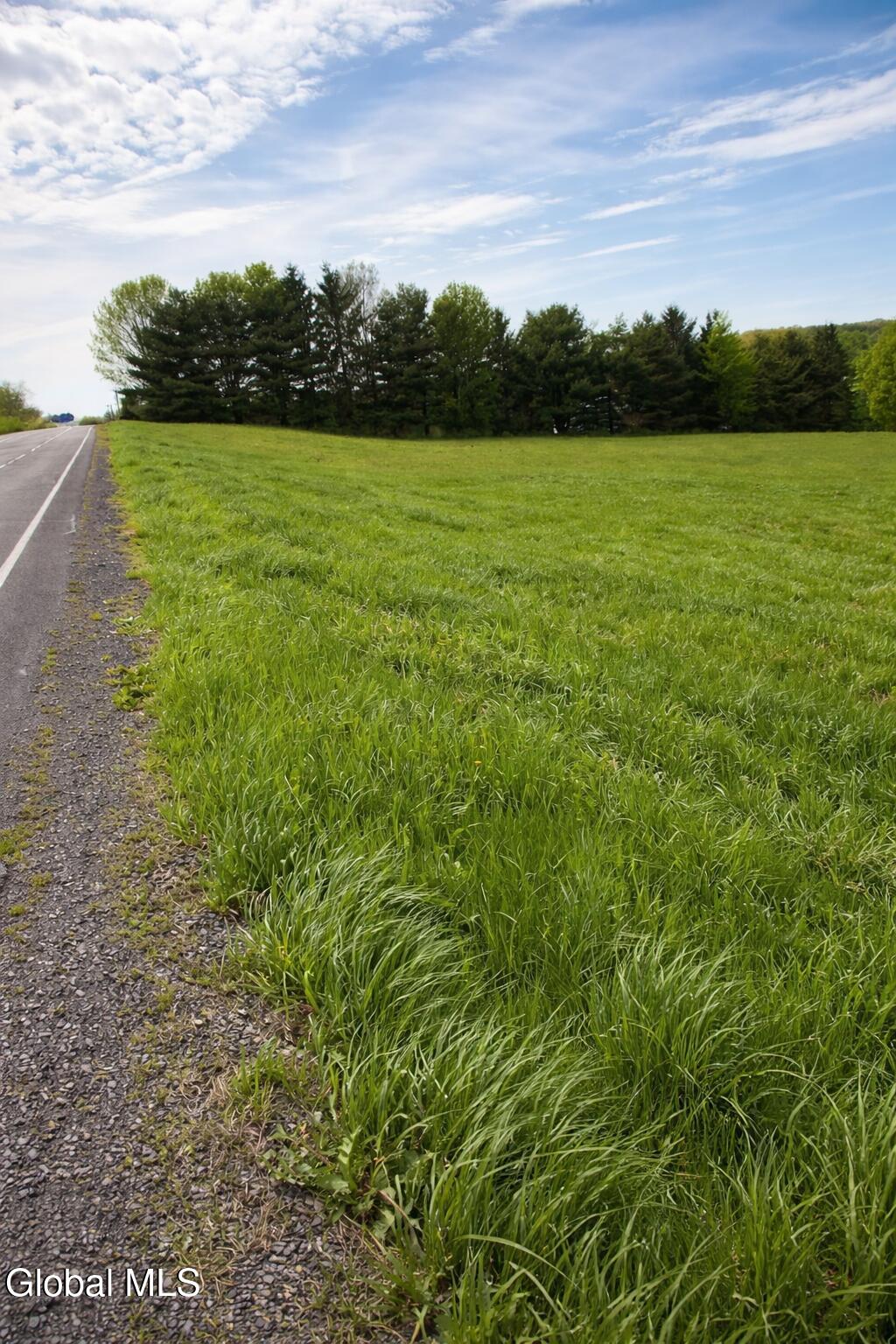 1085 Krumkill Road New Scotland, NY 12159 - Photo 2 of 11 plot 3