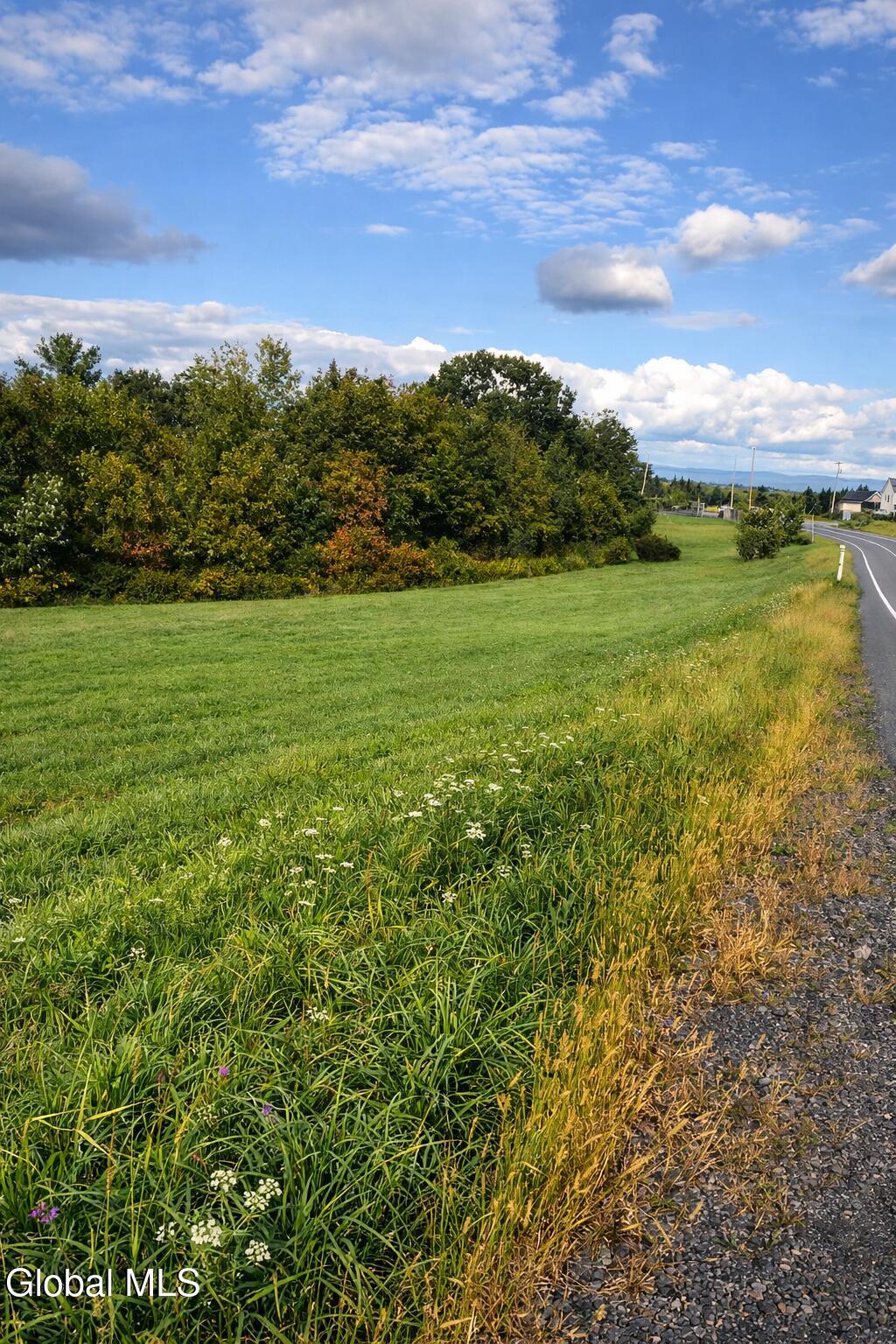 1085 Krumkill Road New Scotland, NY 12159 - Photo 3 of 11 plot4