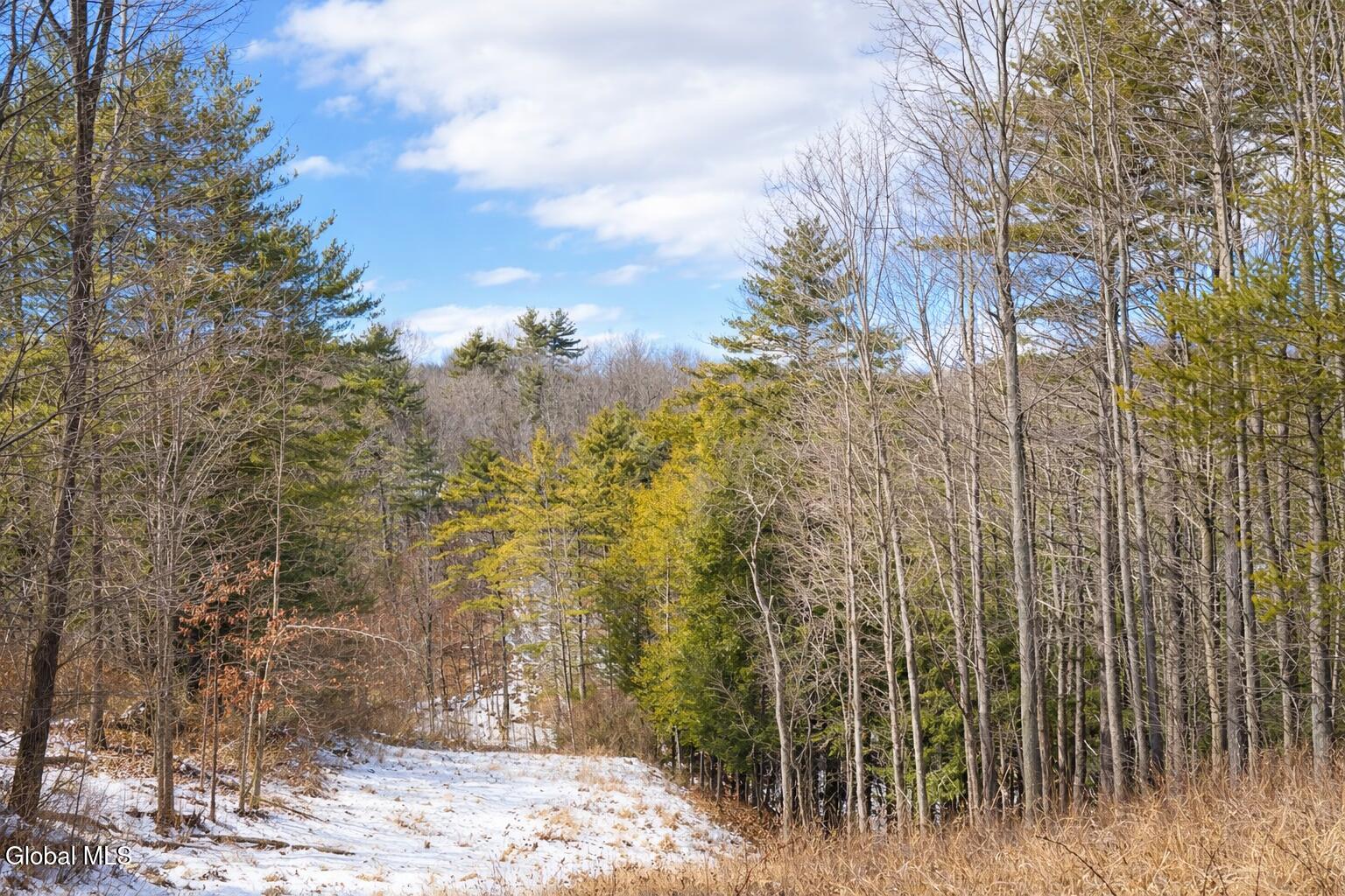 1085 Krumkill Road New Scotland, NY 12159 - Photo 4 of 11 903FABBF-99E9-4854-B8DB-B0A0904A4AB2