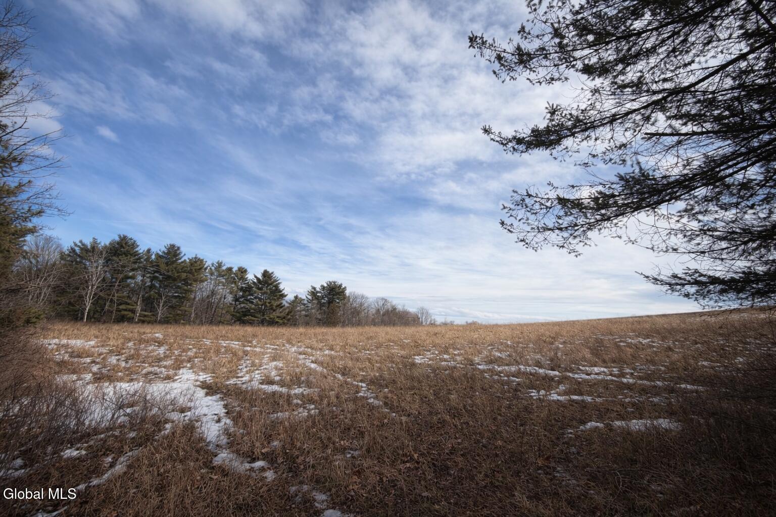 1085 Krumkill Road New Scotland, NY 12159 - Photo 5 of 11 E46C2E6B-7B96-48E4-9A1B-8835DD7B0123