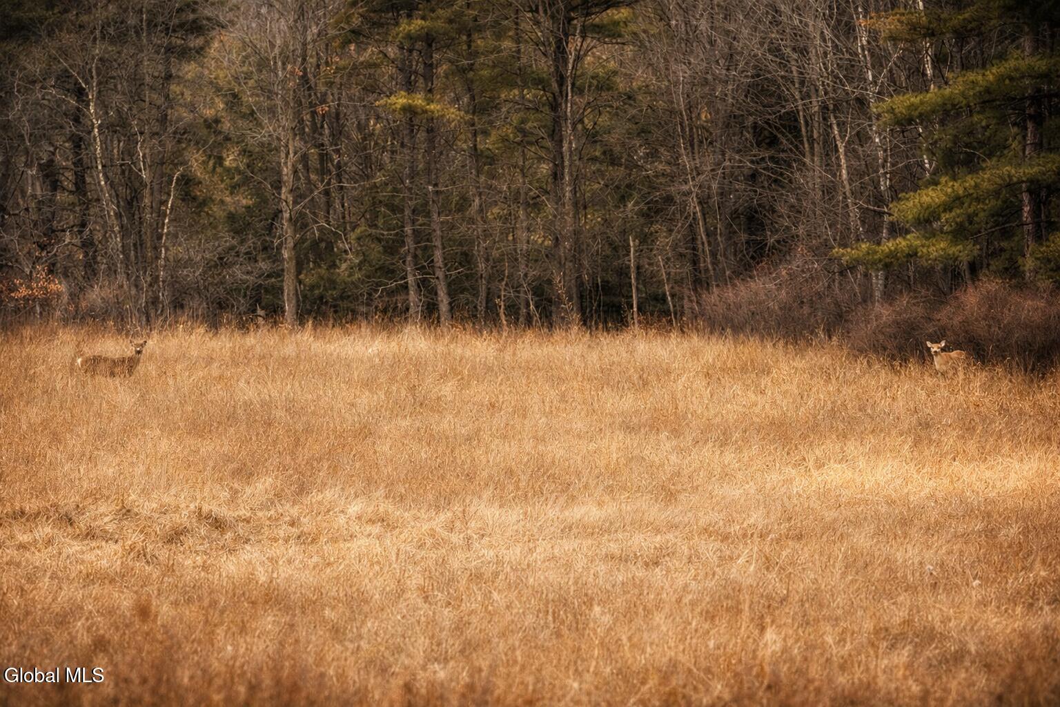 1085 Krumkill Road New Scotland, NY 12159 - Photo 9 of 11 uuid=17F69C15-A41E-4754-BCEB-B0131E6F2B4