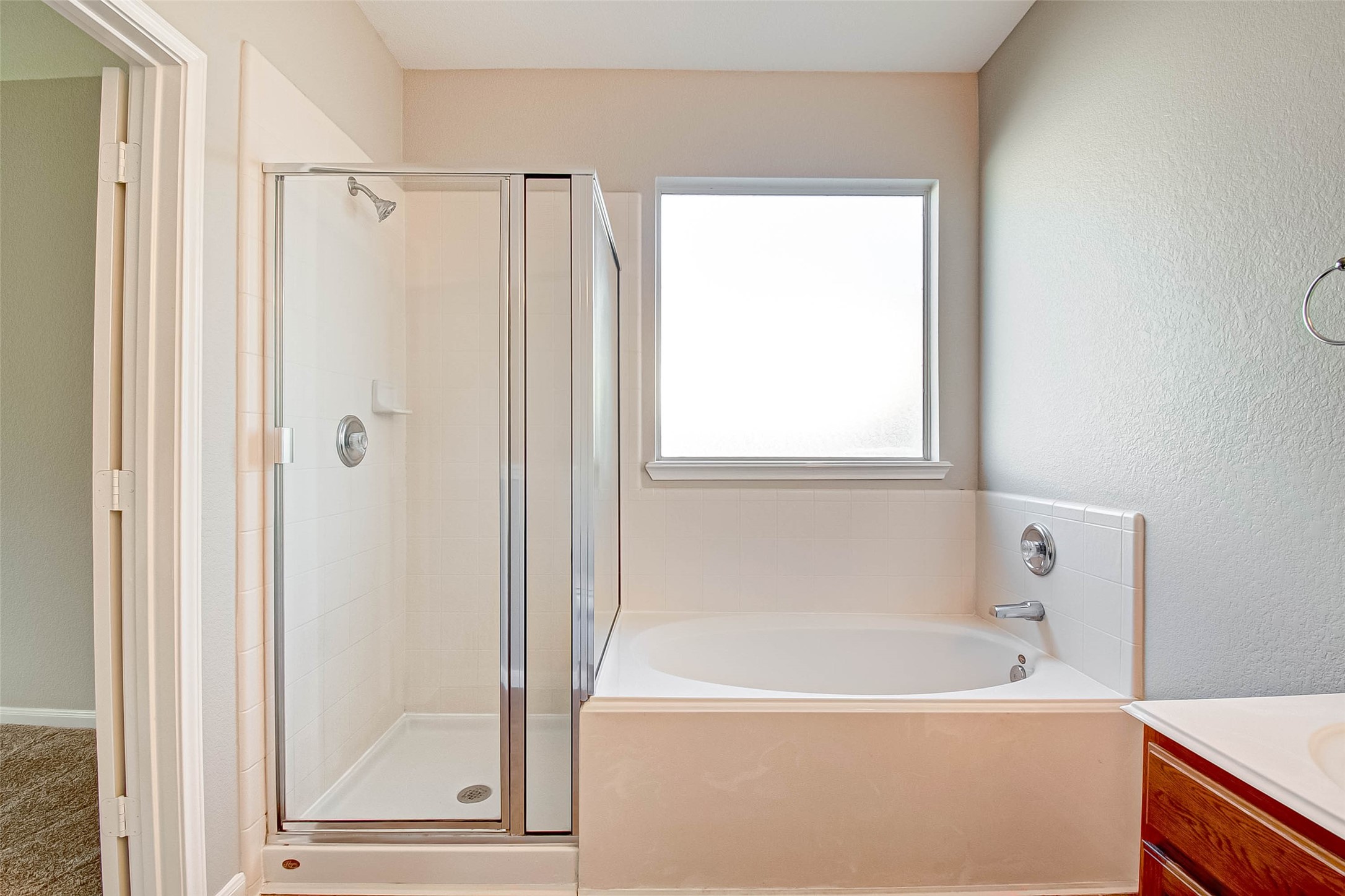 21327 Bella Flora Court Spring, TX 77379 - Photo 11 of 20