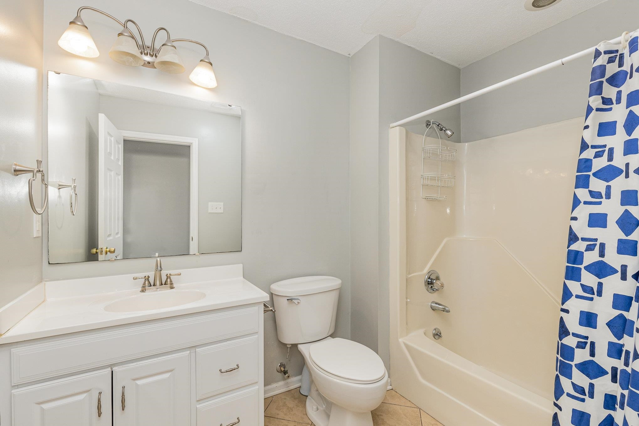 8724 Walter Myatt Road Willow Spring, NC 27592 - Photo 17 of 24 a bathroom with a sink toilet a shower and a mirror