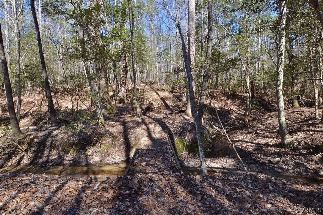 2331 Calno Road Hanover, VA 23069 - Photo 42 of 46 Gallery Image 42