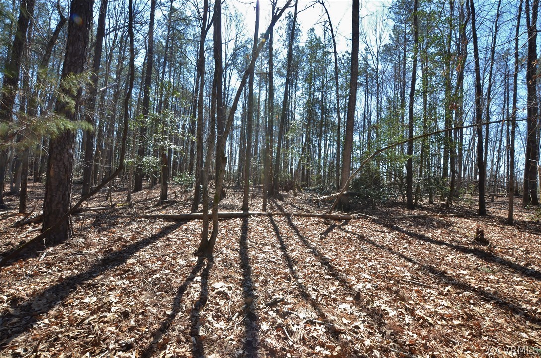 2331 Calno Road Hanover, VA 23069 - Photo 44 of 46 Gallery Image 44
