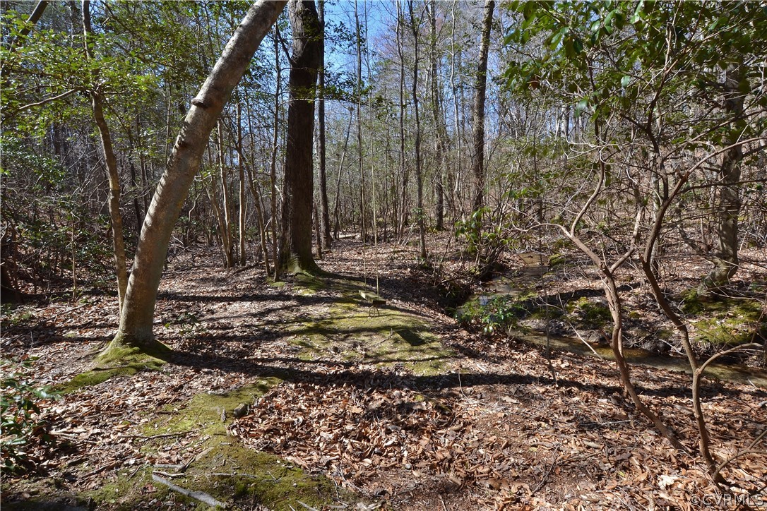 2331 Calno Road Hanover, VA 23069 - Photo 46 of 46 Gallery Image 46