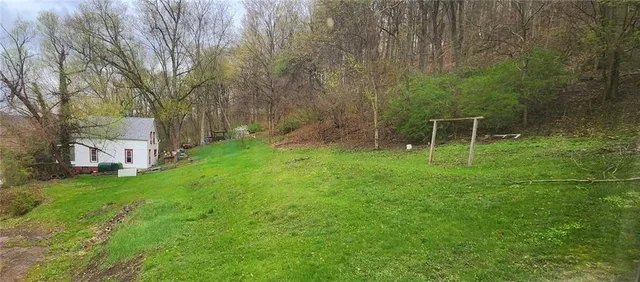 a backyard of a house with plants and large trees