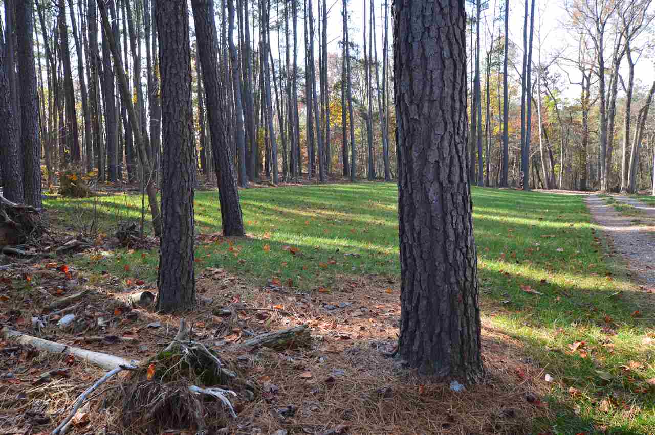 944 Shipyard Road Shenandoah, VA 22849 - Photo 31 of 44 Gallery Image 31