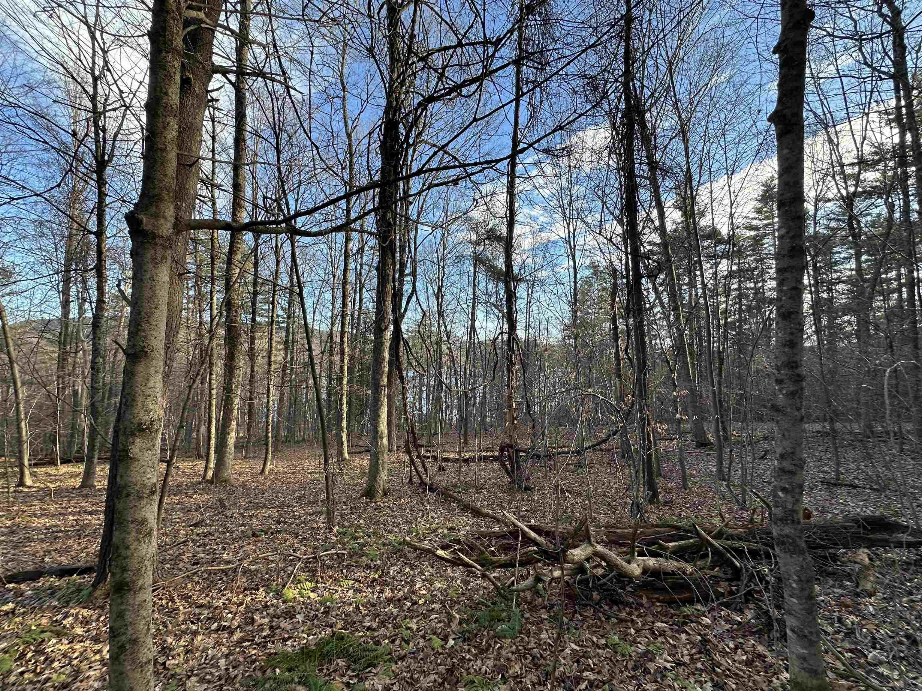 0 West Lake Road, Unit LOT FIVE Wells, VT 05774 - Photo 3 of 9 Gallery Image 3