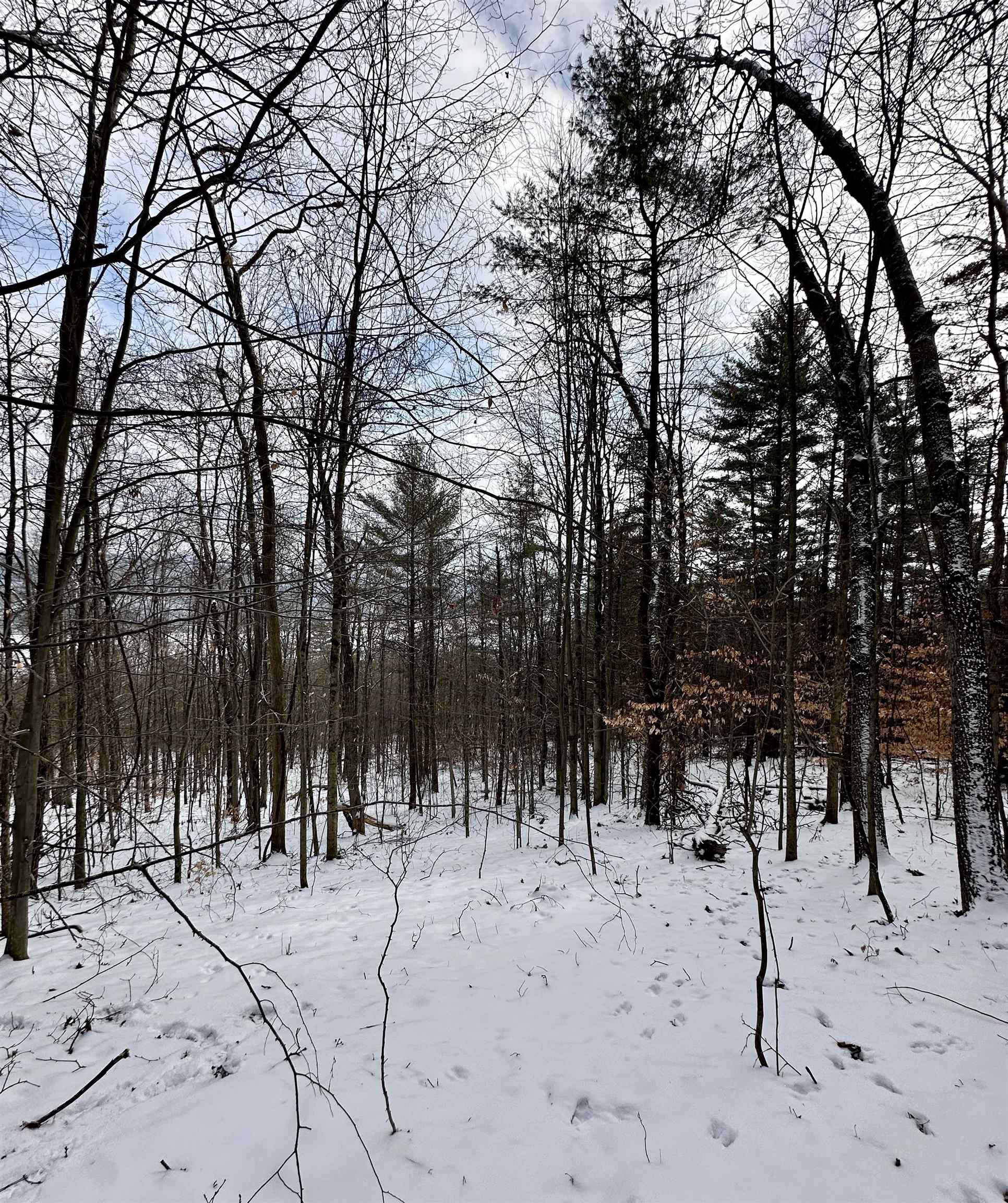 0 West Lake Road, Unit LOT FIVE Wells, VT 05774 - Photo 8 of 9 Gallery Image 8