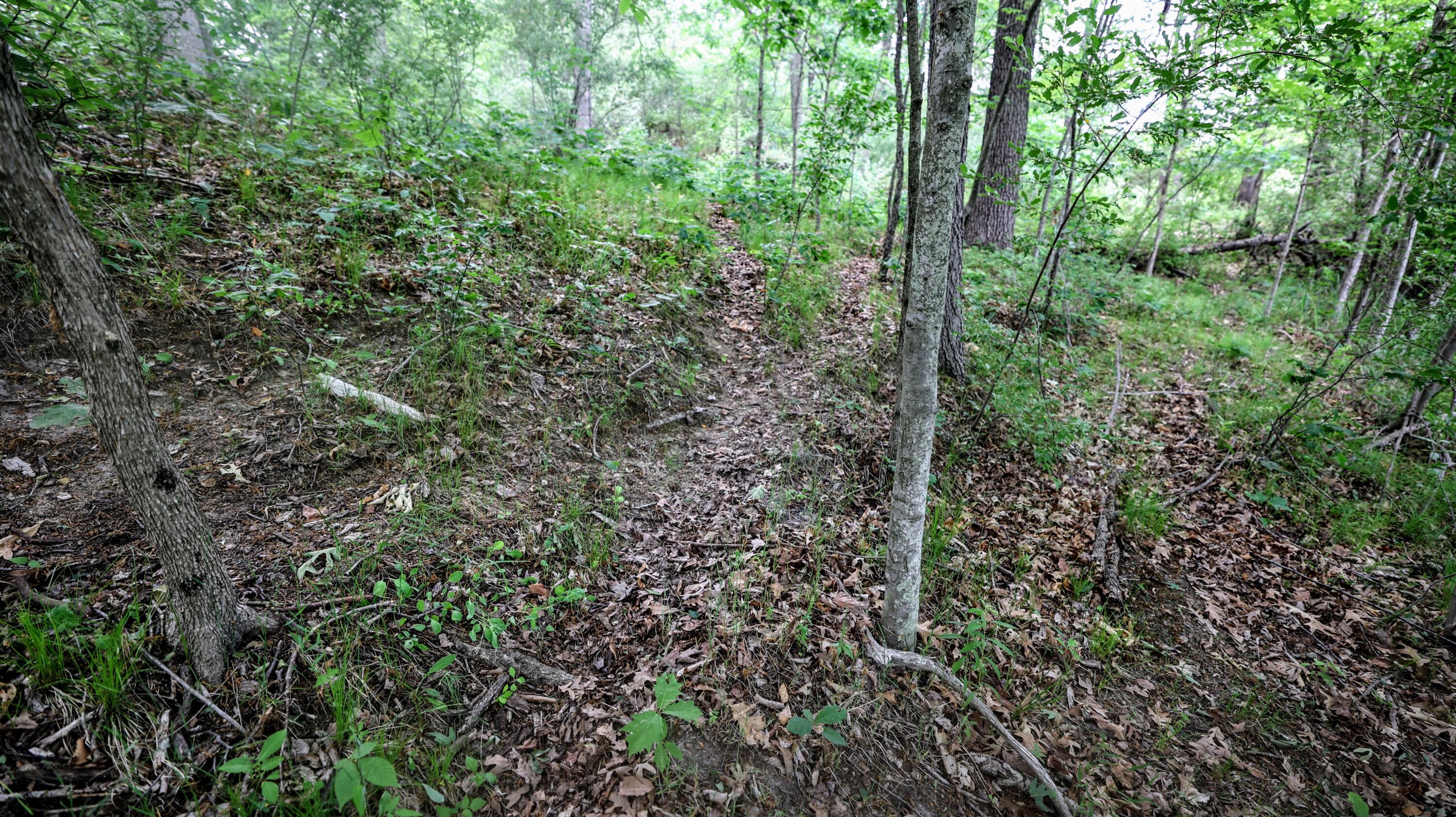 Vl Mud Lake Road Bellevue, MI 49021 - Photo 11 of 48 11