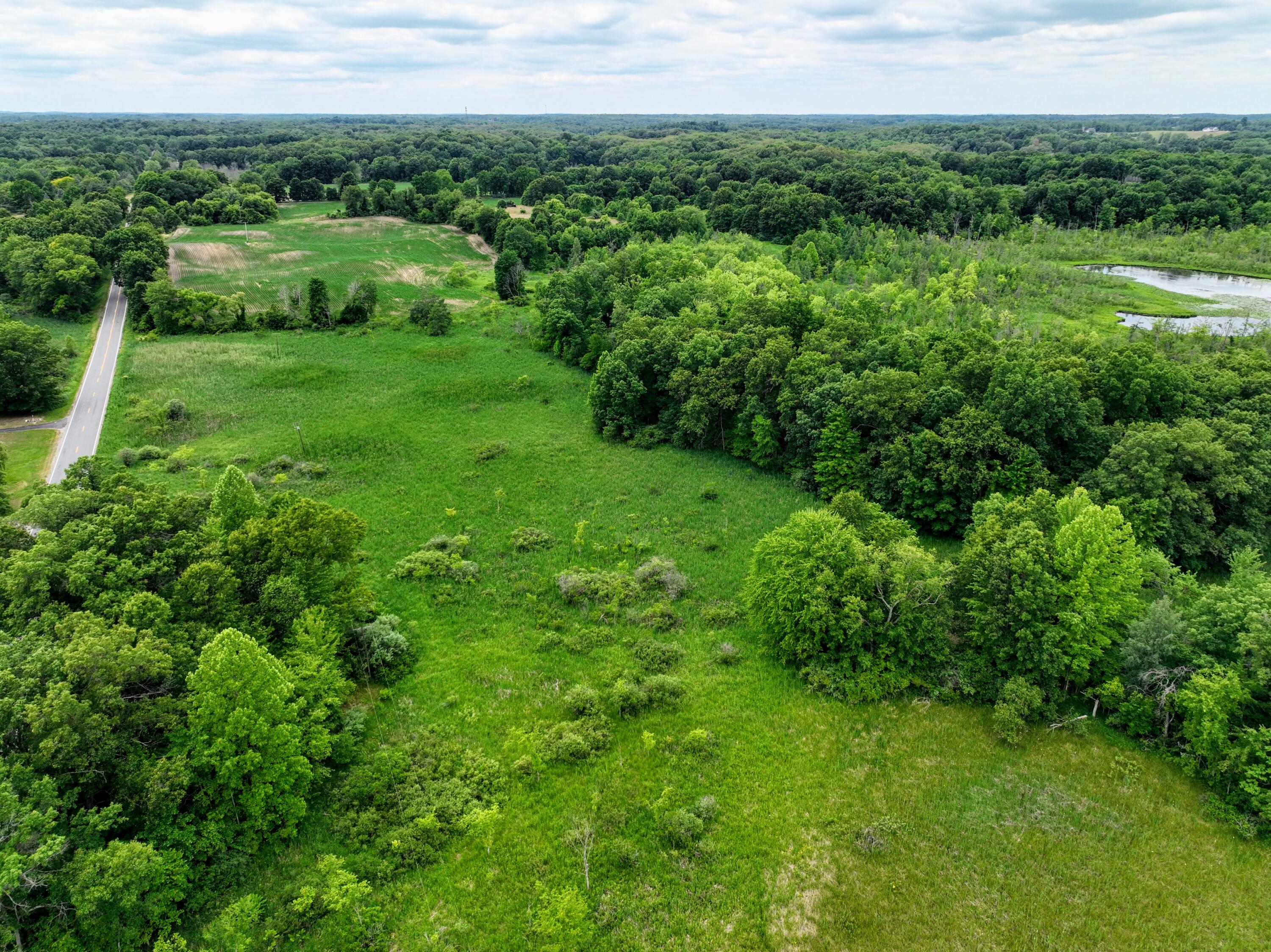 Vl Mud Lake Road Bellevue, MI 49021 - Photo 12 of 48 12