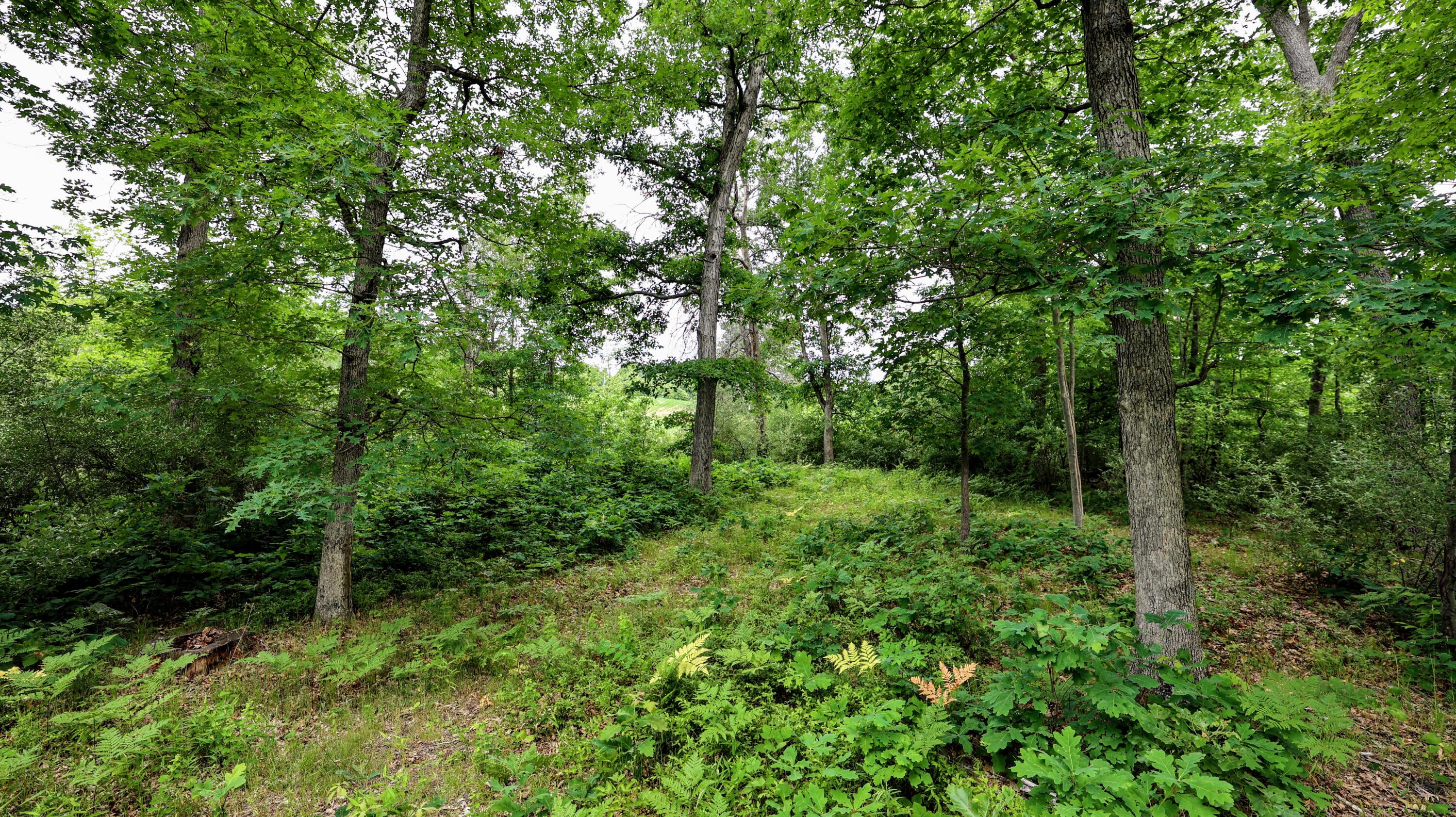 Vl Mud Lake Road Bellevue, MI 49021 - Photo 14 of 48 14