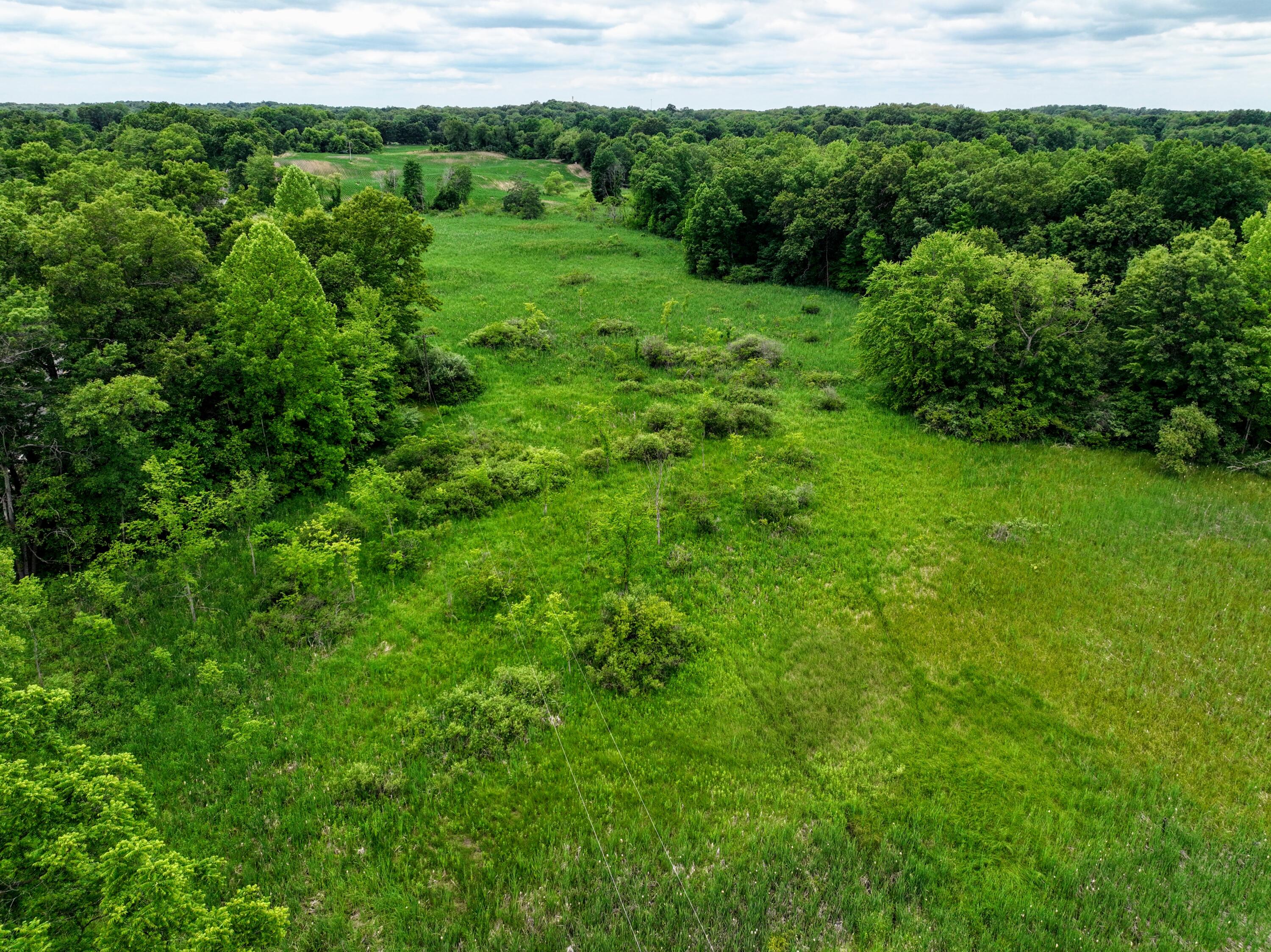 Vl Mud Lake Road Bellevue, MI 49021 - Photo 15 of 48 15