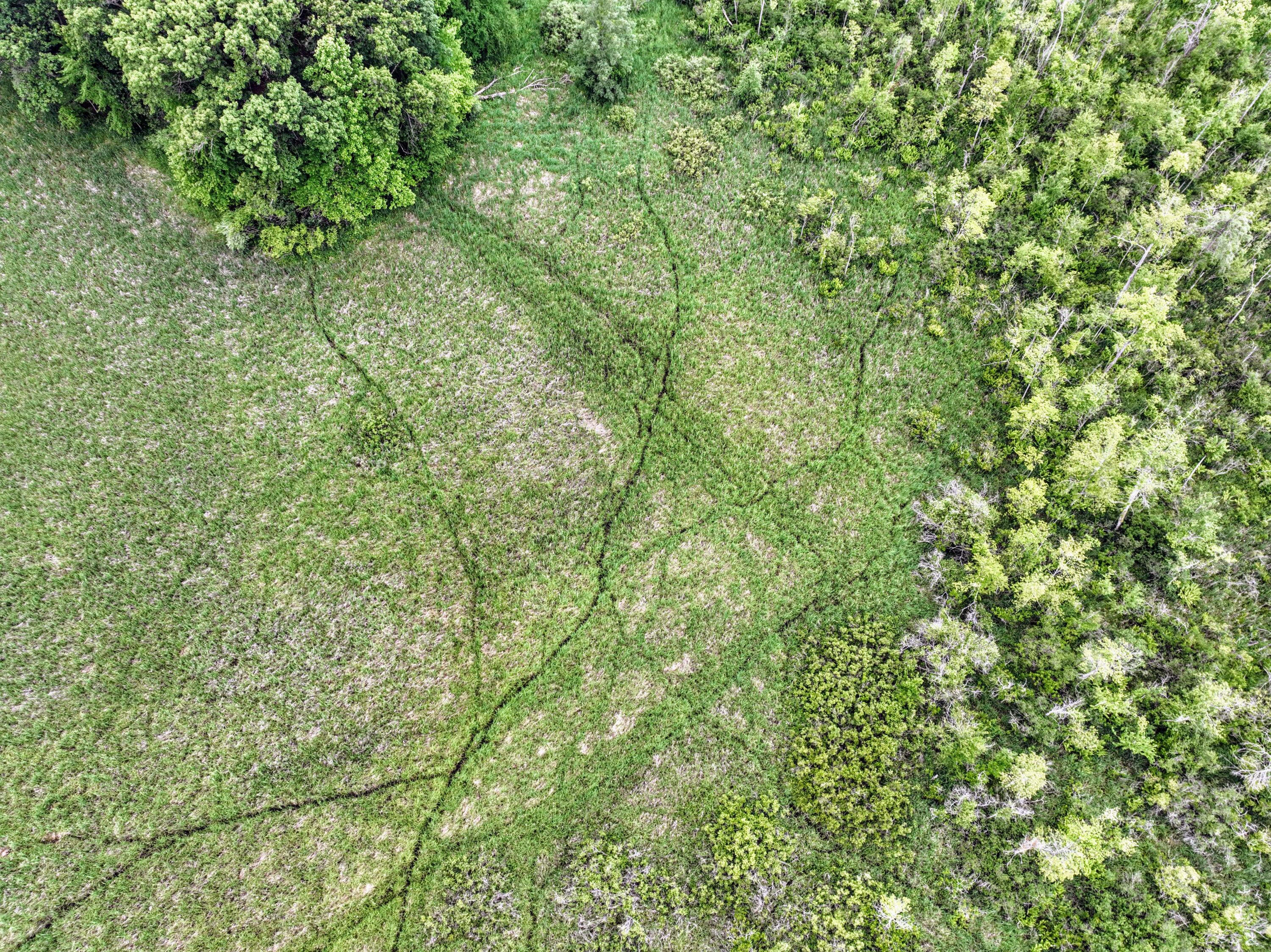 Vl Mud Lake Road Bellevue, MI 49021 - Photo 16 of 48 16