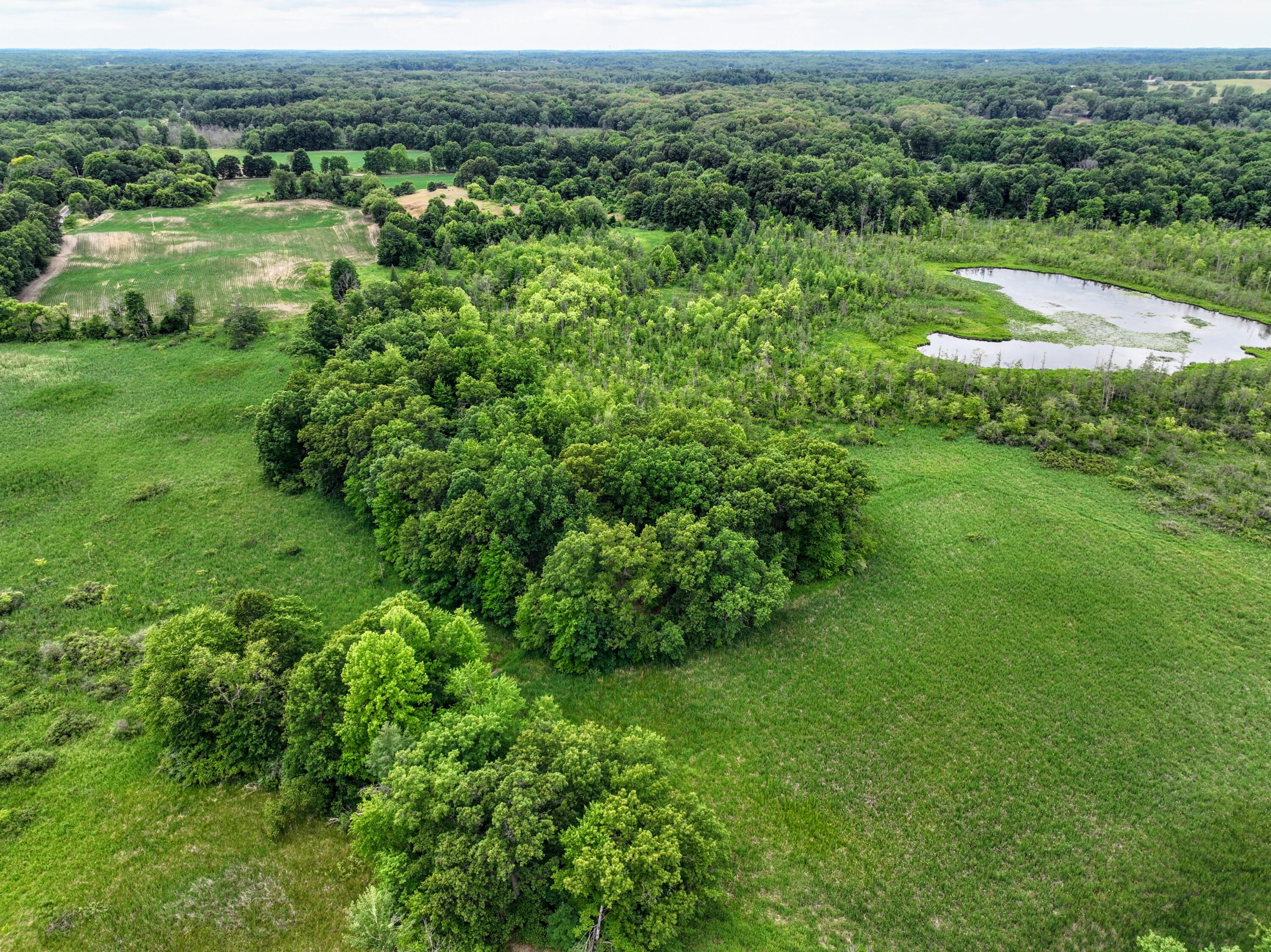 Vl Mud Lake Road Bellevue, MI 49021 - Photo 17 of 48 17