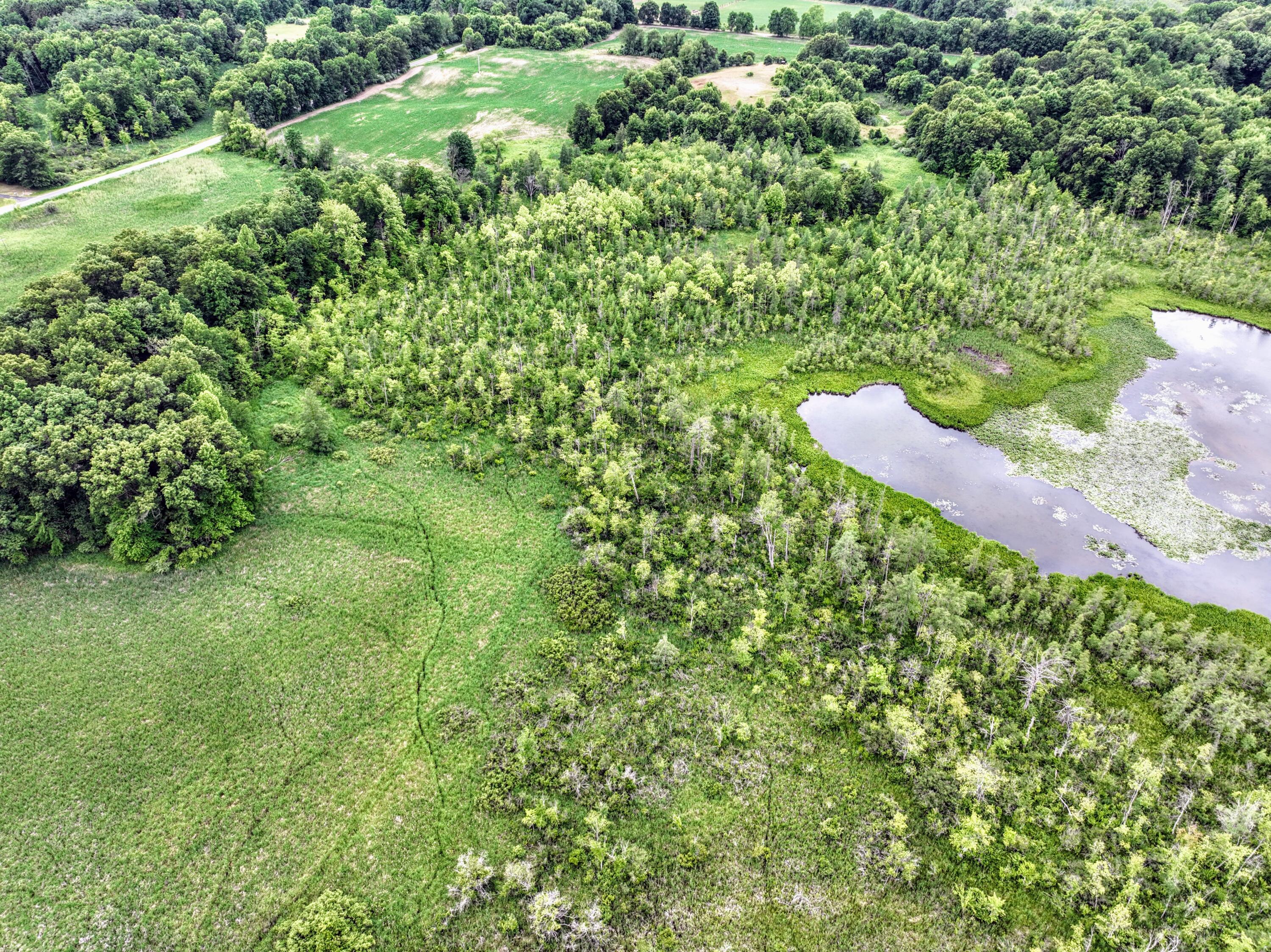 Vl Mud Lake Road Bellevue, MI 49021 - Photo 19 of 48 19