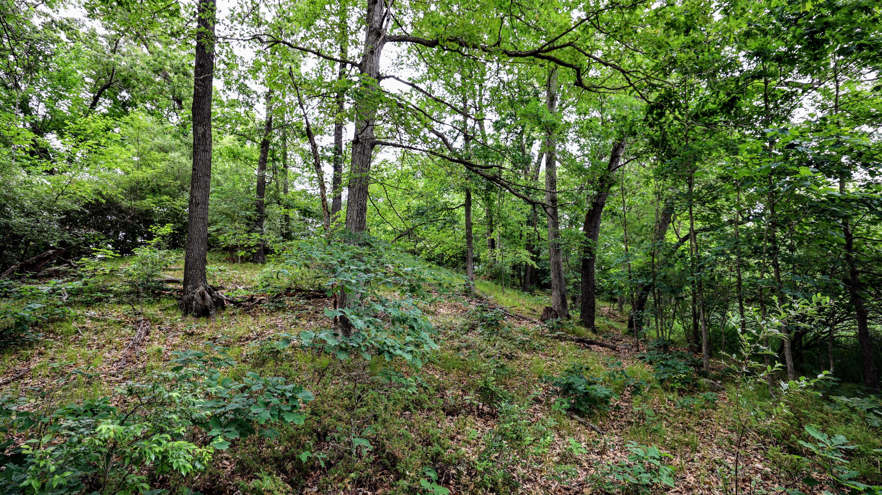 Vl Mud Lake Road Bellevue, MI 49021 - Photo 20 of 48 20