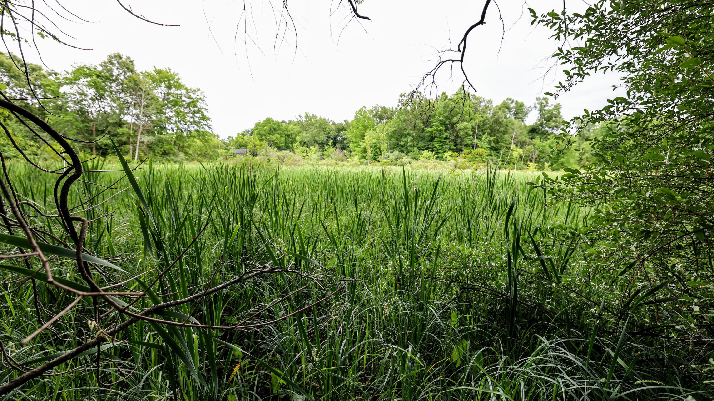 Vl Mud Lake Road Bellevue, MI 49021 - Photo 2 of 48 2