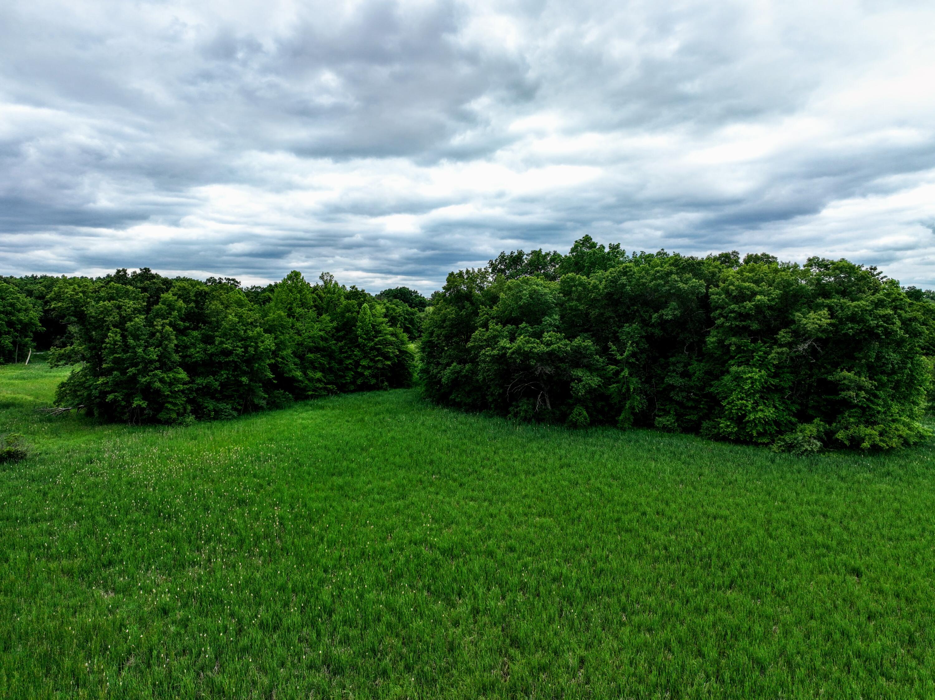 Vl Mud Lake Road Bellevue, MI 49021 - Photo 22 of 48 22