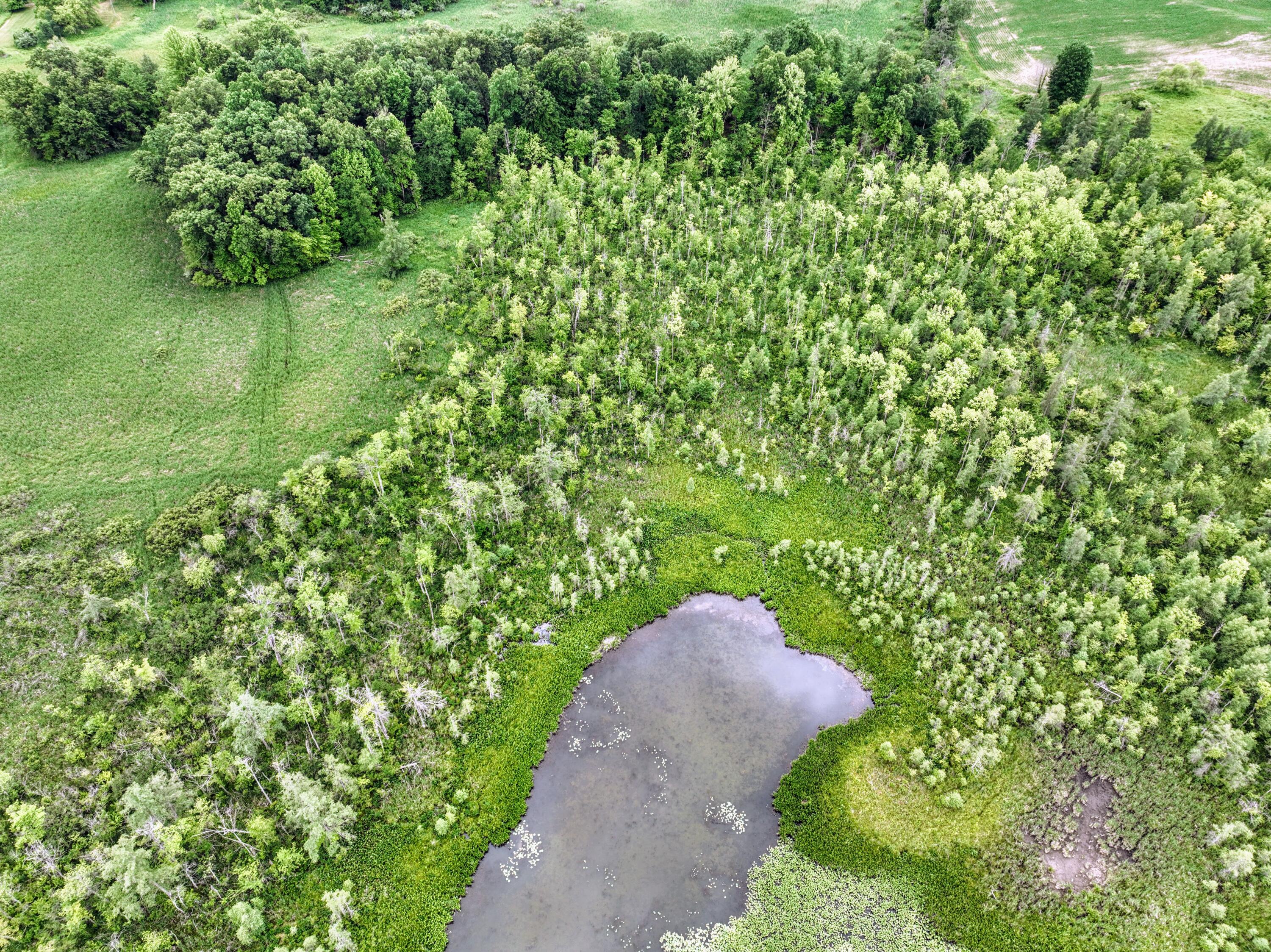 Vl Mud Lake Road Bellevue, MI 49021 - Photo 23 of 48 23