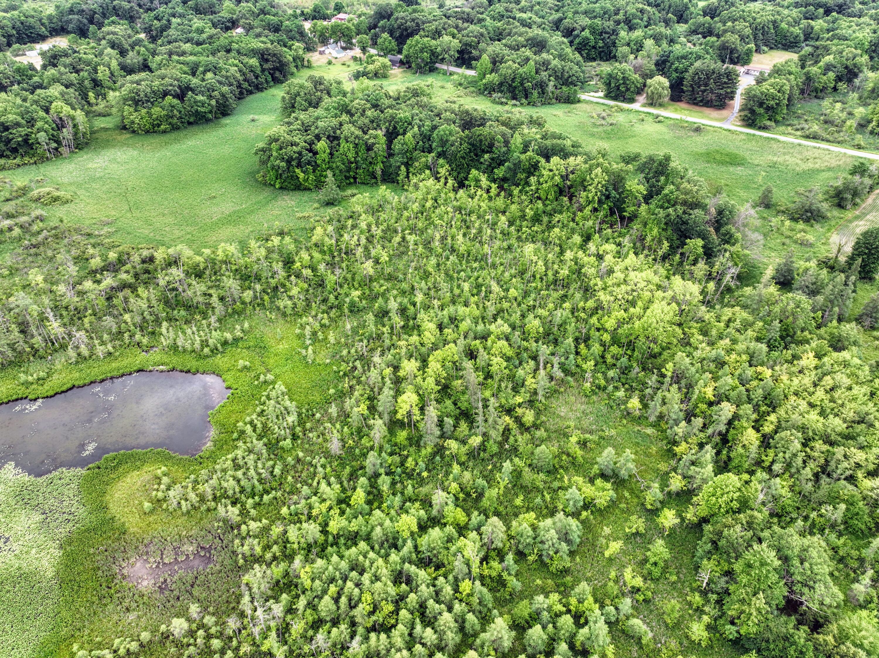 Vl Mud Lake Road Bellevue, MI 49021 - Photo 25 of 48 25