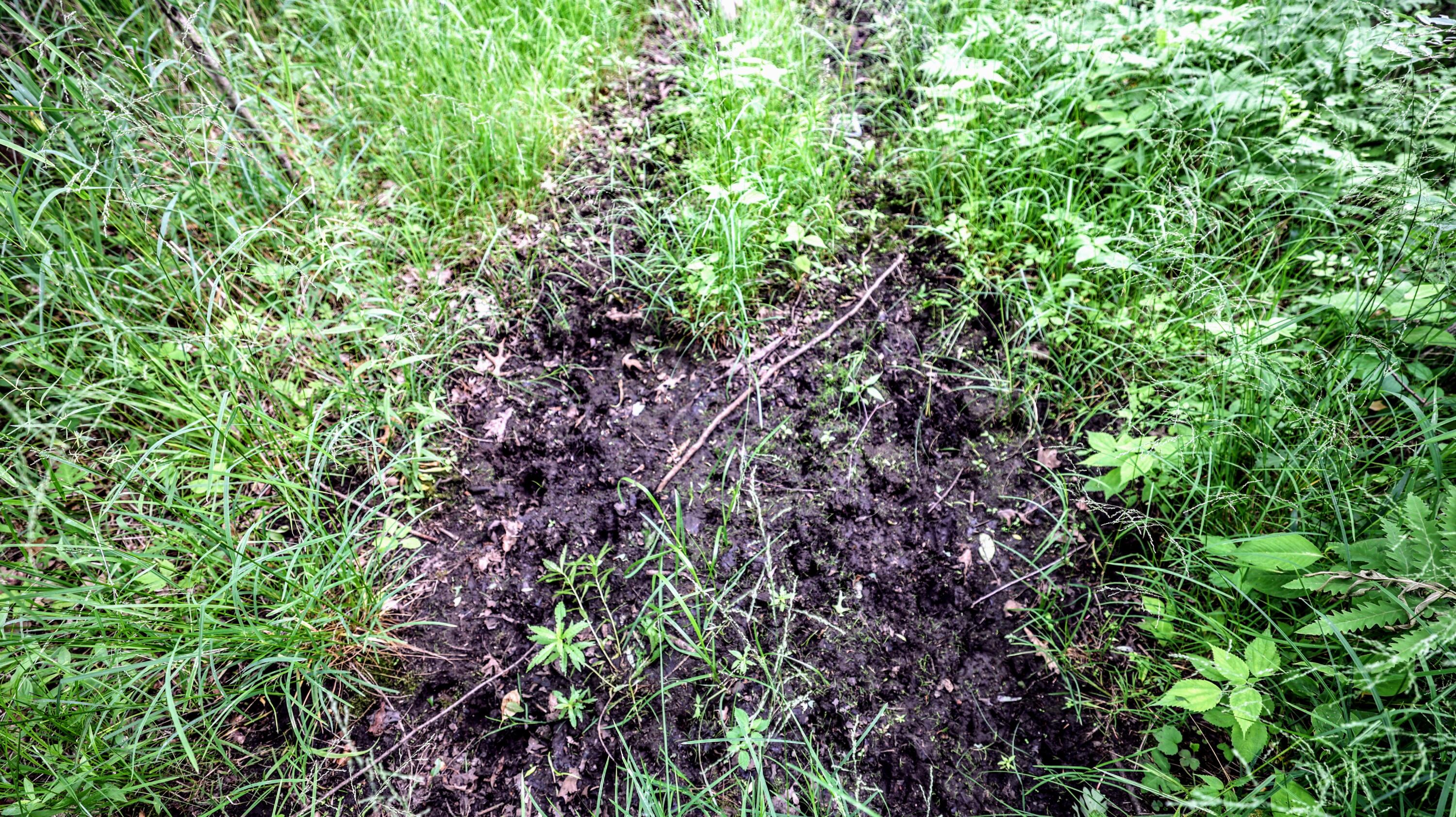 Vl Mud Lake Road Bellevue, MI 49021 - Photo 28 of 48 28