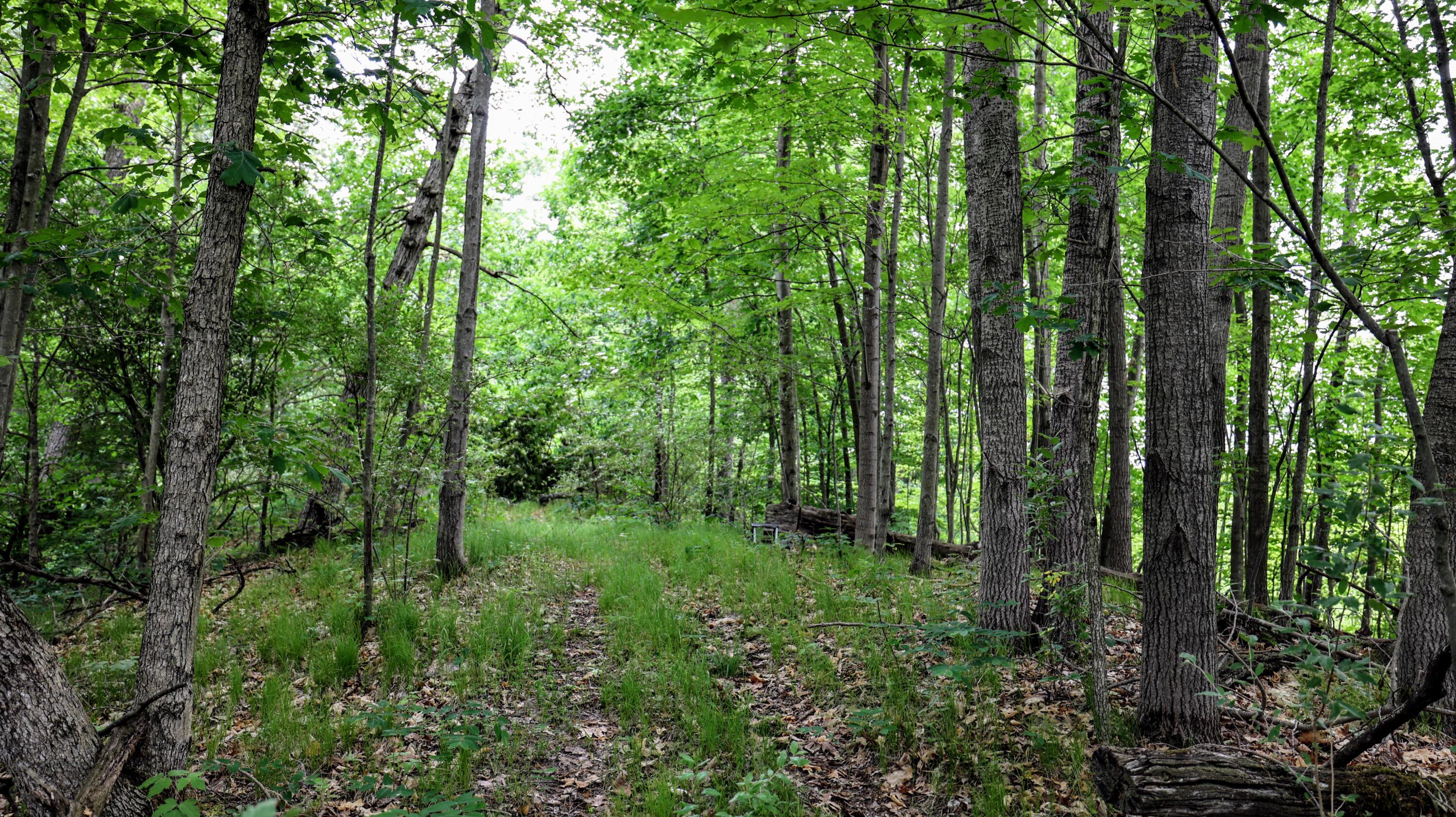 Vl Mud Lake Road Bellevue, MI 49021 - Photo 29 of 48 29