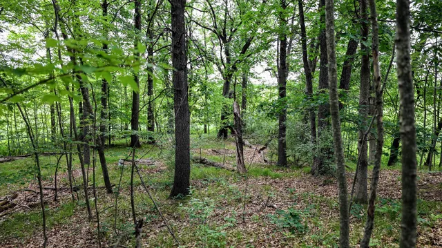 $135,000 | Vl Mud Lake Road, Bellevue, MI 49021