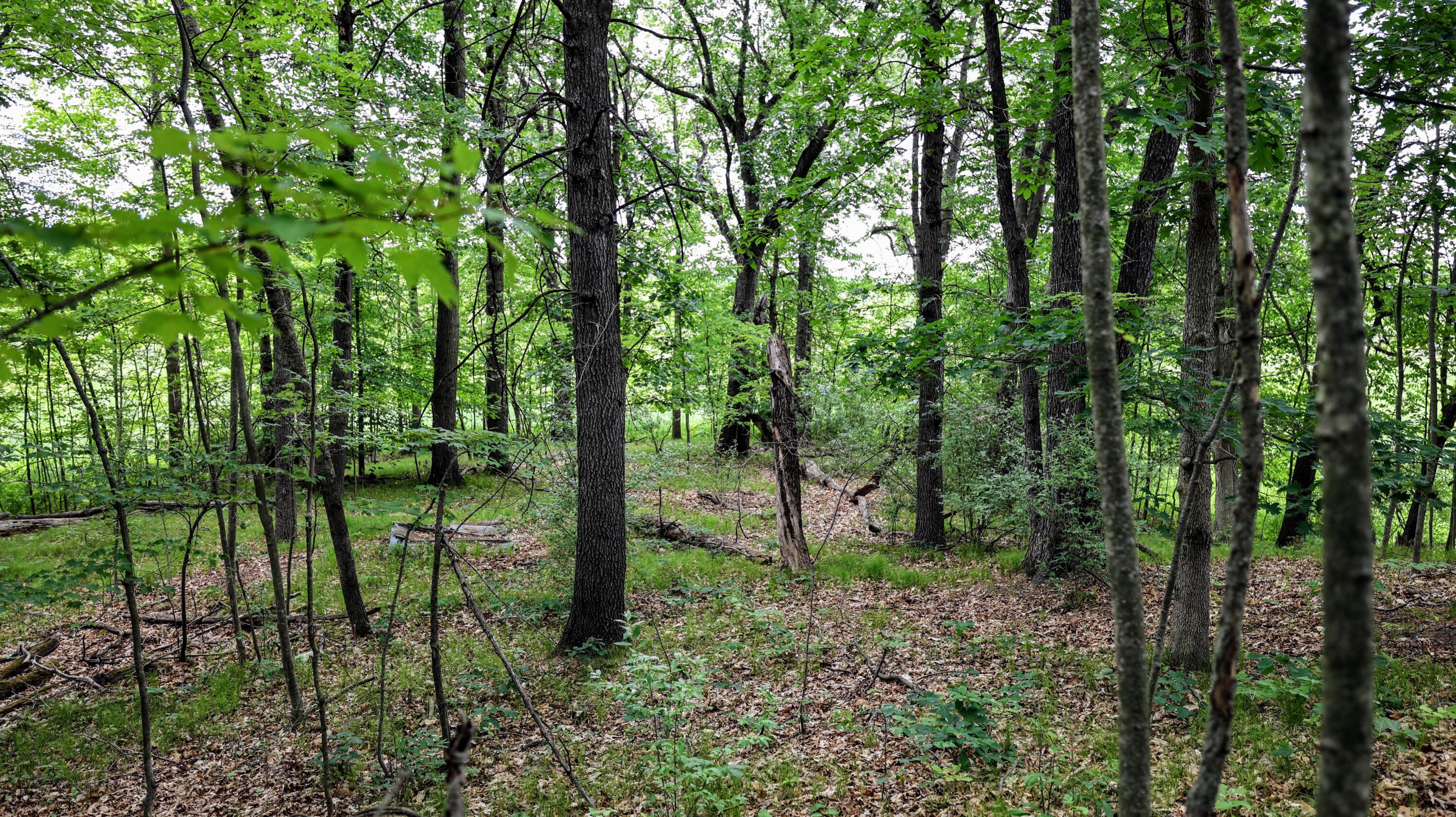 Vl Mud Lake Road Bellevue, MI 49021 - Photo 3 of 48 3