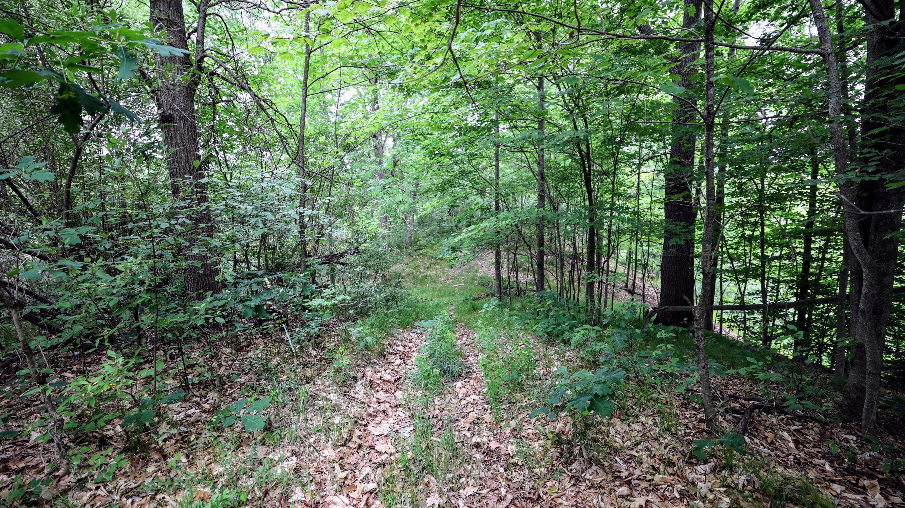 Vl Mud Lake Road Bellevue, MI 49021 - Photo 31 of 48 31