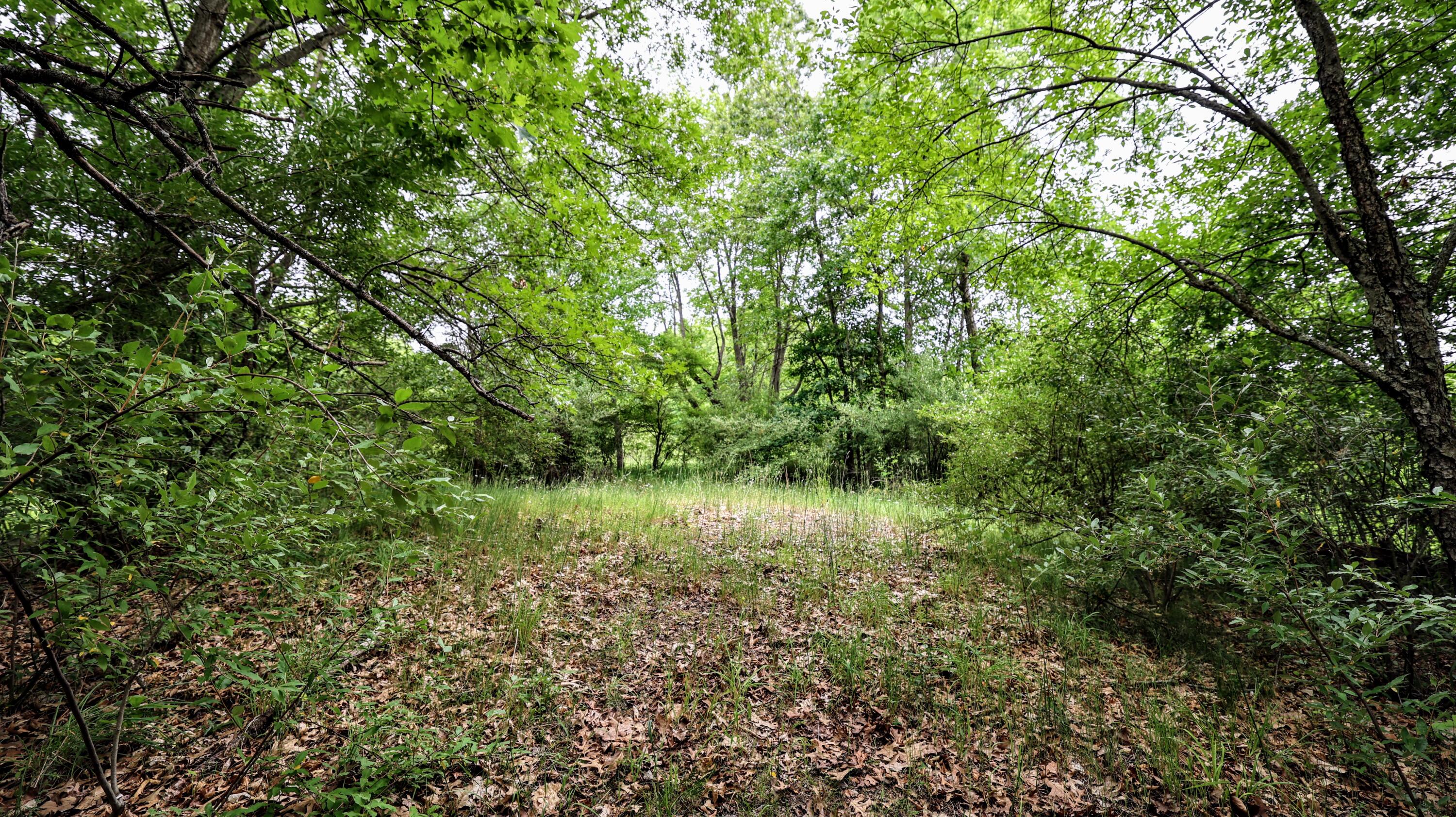 Vl Mud Lake Road Bellevue, MI 49021 - Photo 32 of 48 32