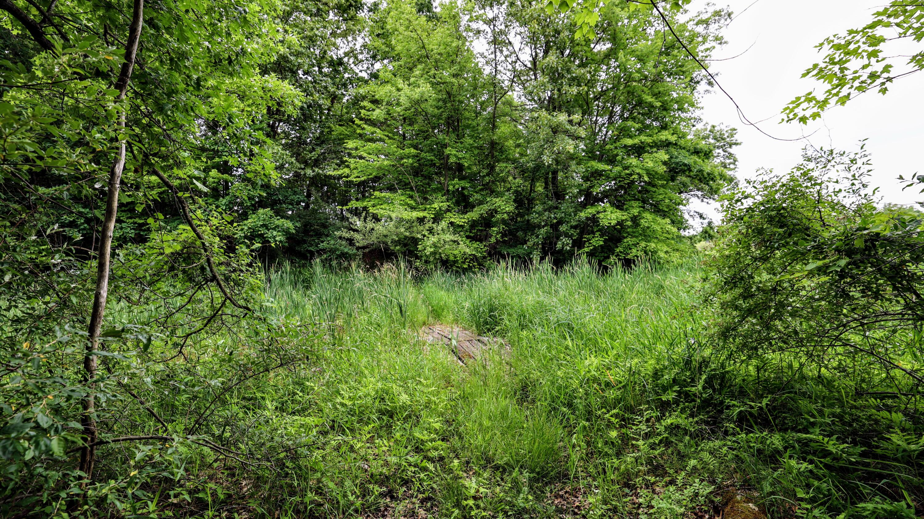 Vl Mud Lake Road Bellevue, MI 49021 - Photo 34 of 48 34