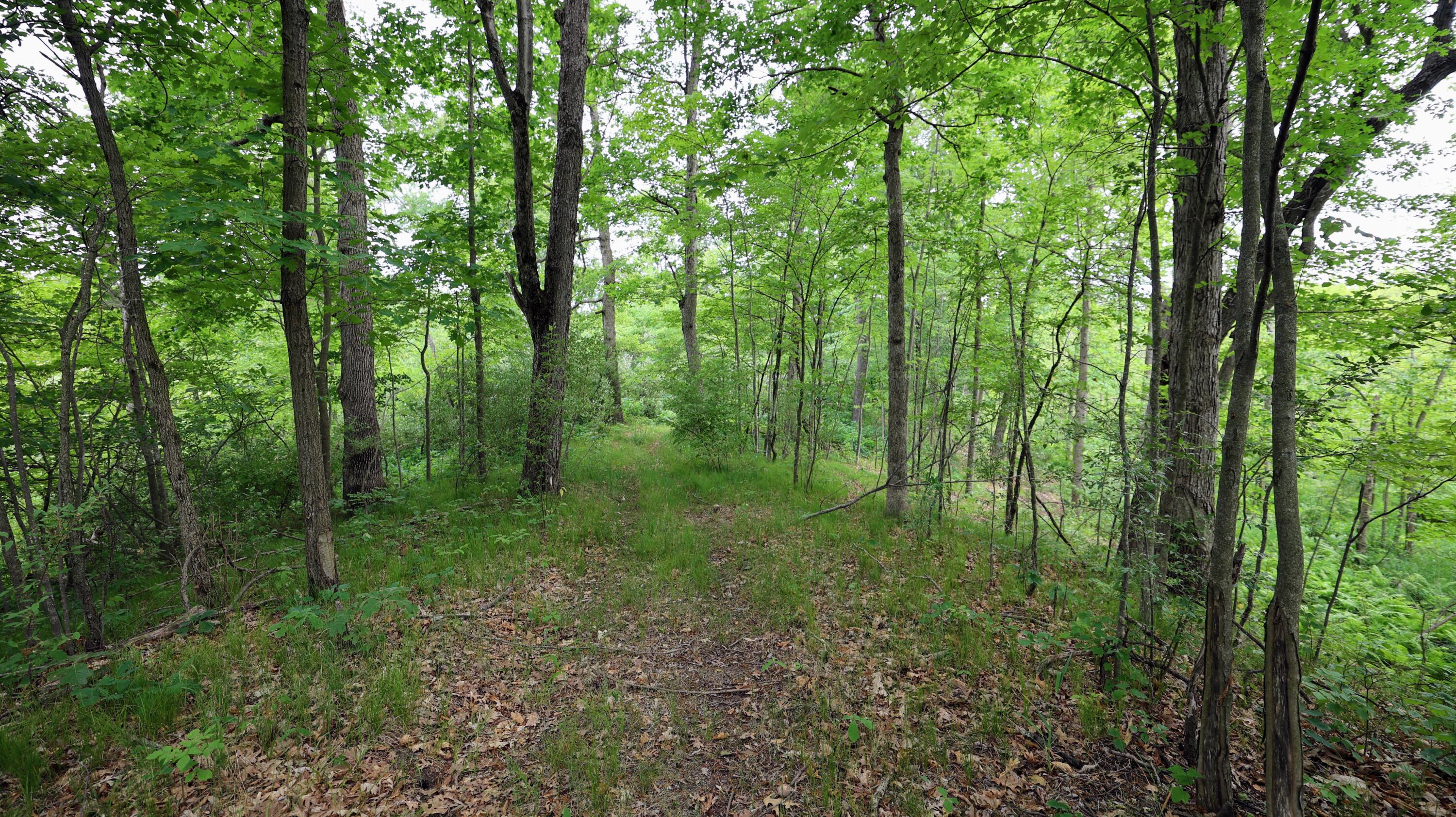 Vl Mud Lake Road Bellevue, MI 49021 - Photo 37 of 48 37