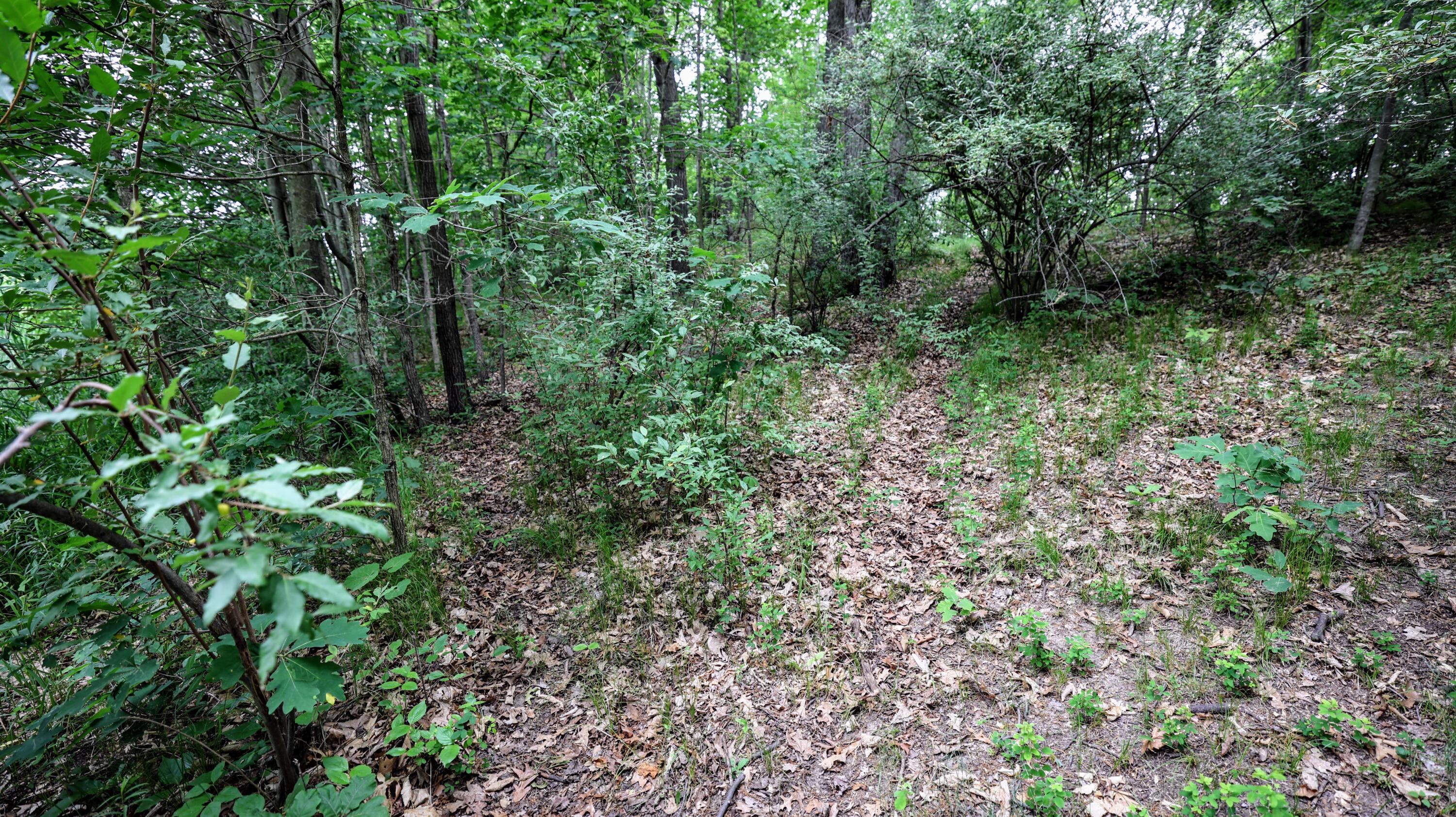 Vl Mud Lake Road Bellevue, MI 49021 - Photo 38 of 48 38