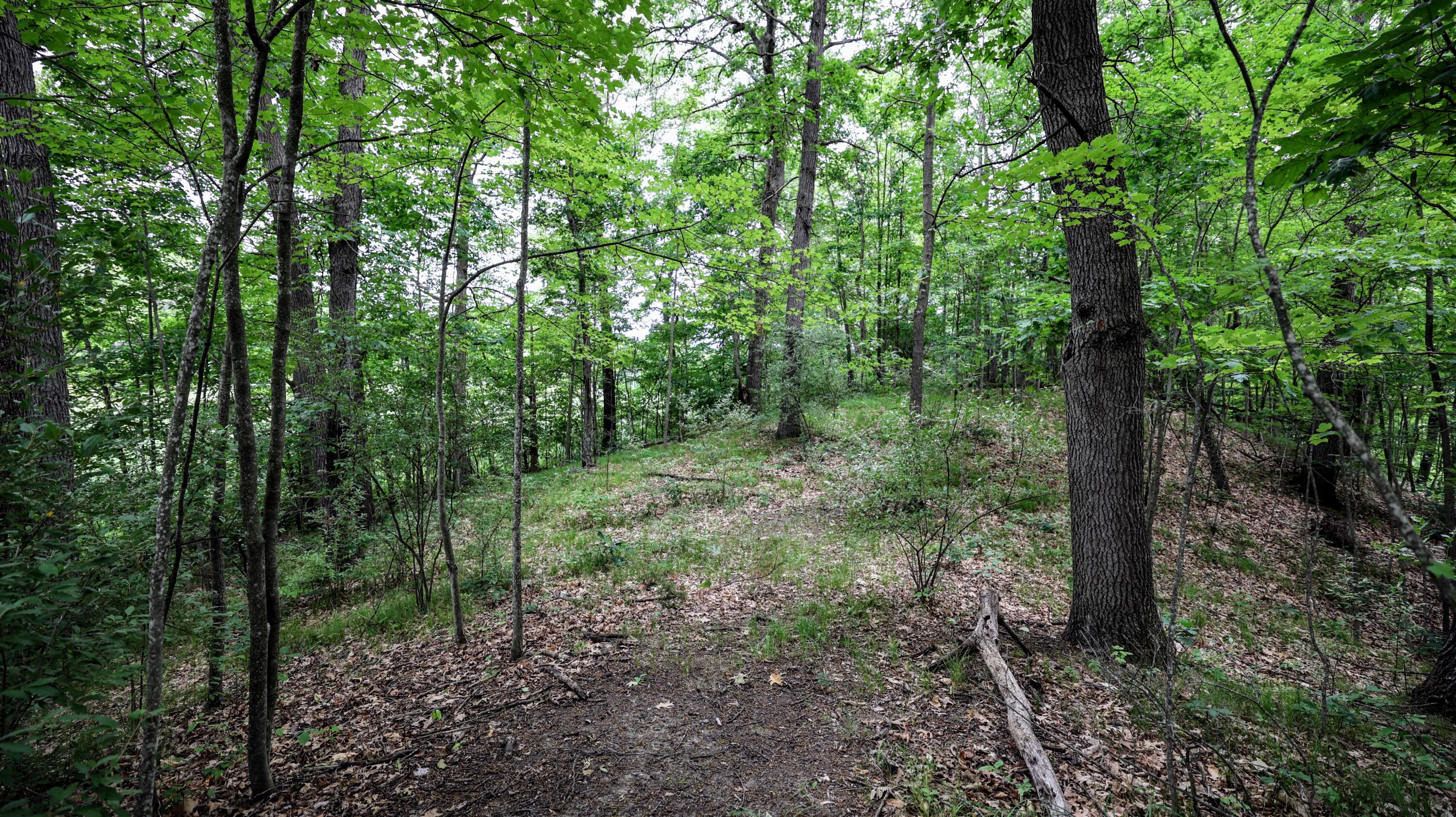 Vl Mud Lake Road Bellevue, MI 49021 - Photo 40 of 48 40