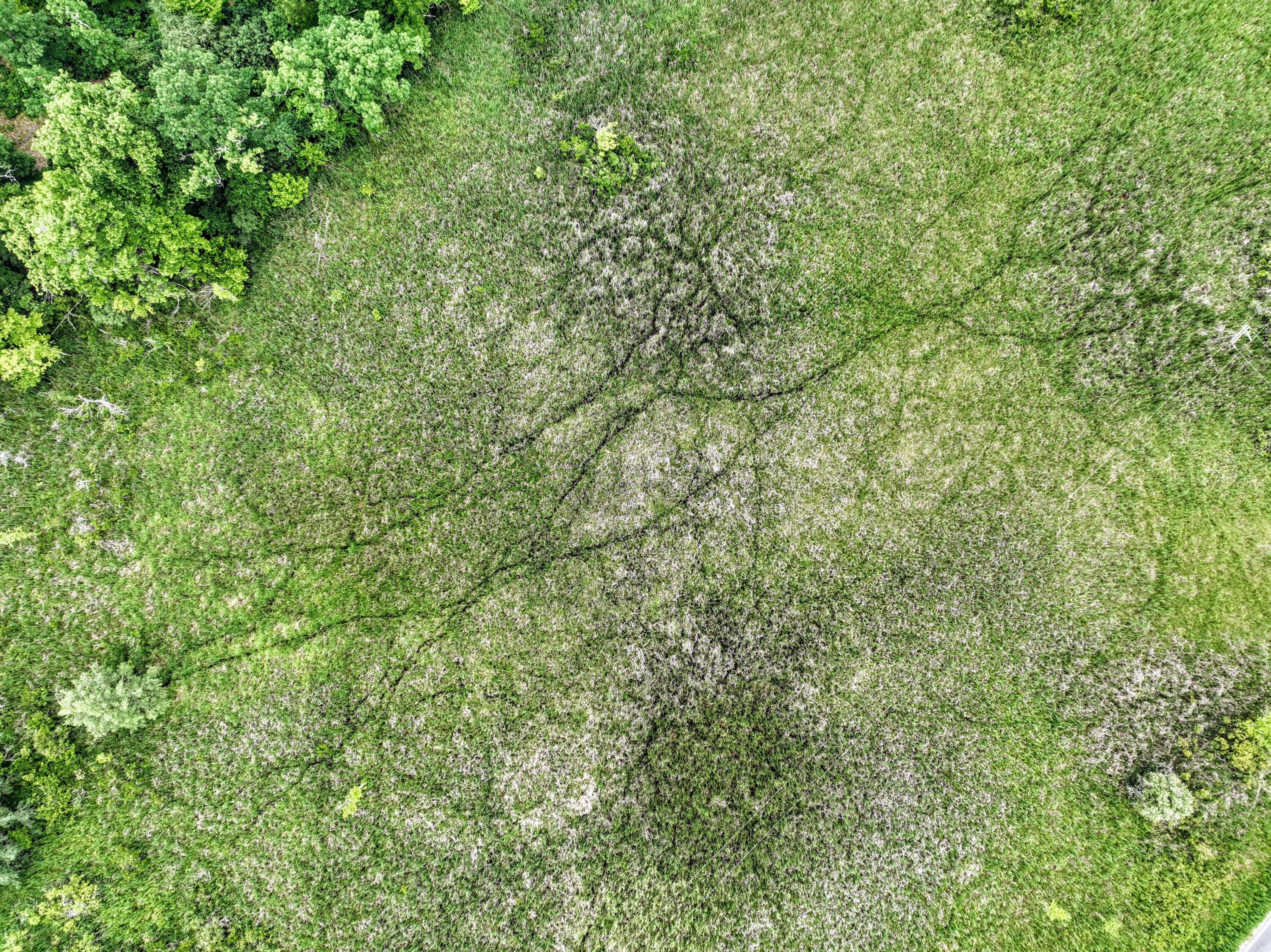 Vl Mud Lake Road Bellevue, MI 49021 - Photo 4 of 48 4