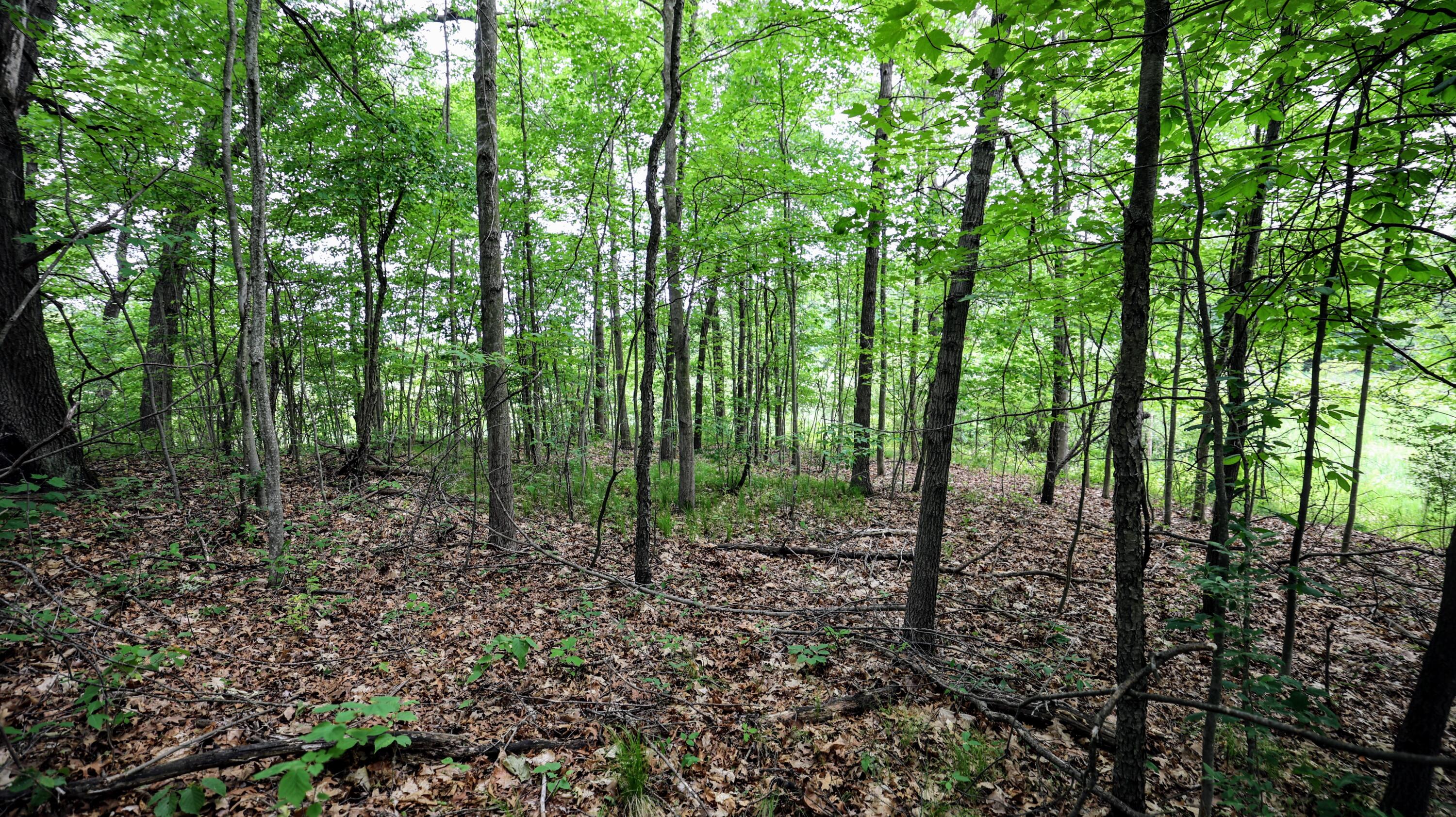 Vl Mud Lake Road Bellevue, MI 49021 - Photo 44 of 48 44