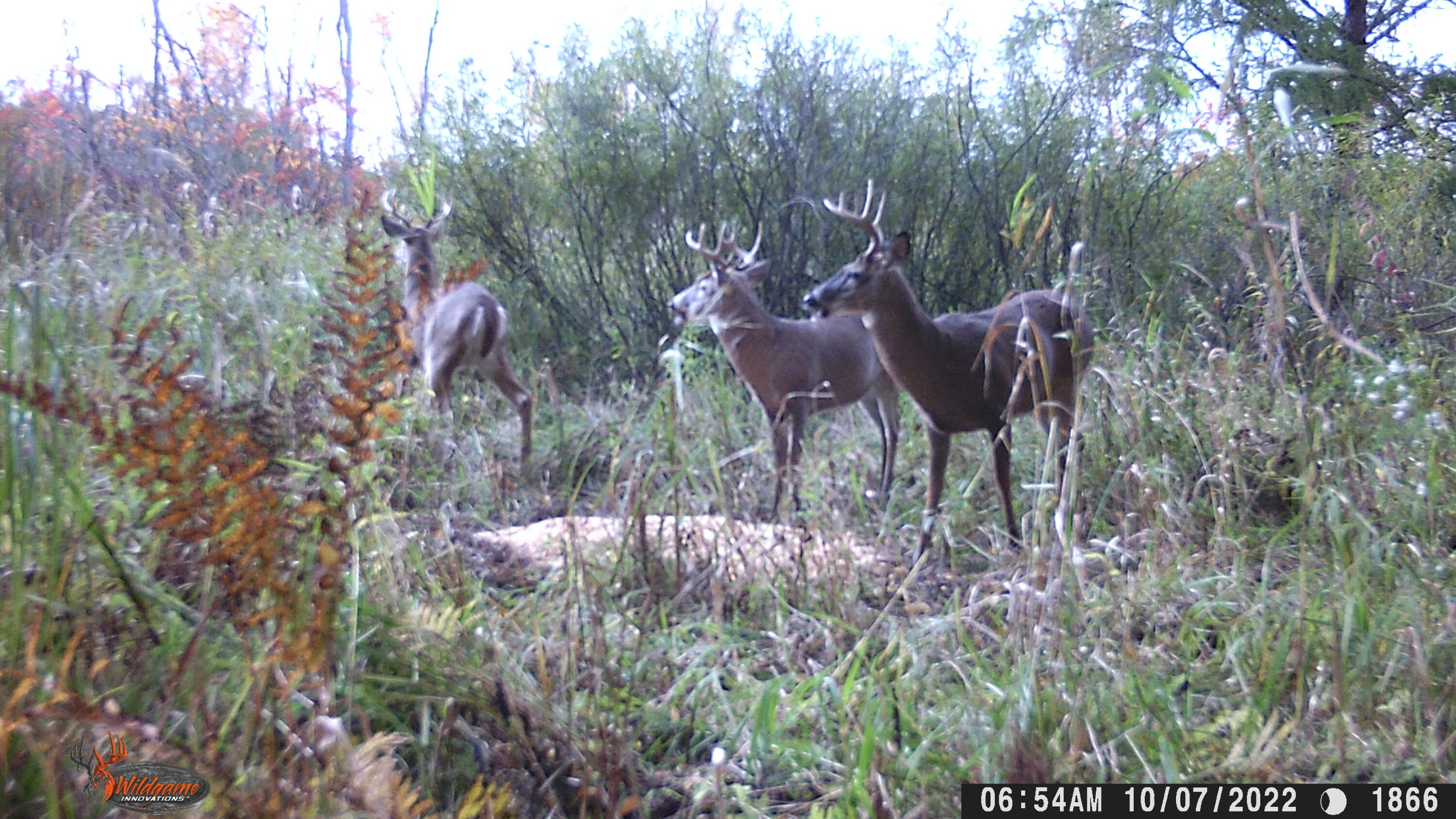 Vl Mud Lake Road Bellevue, MI 49021 - Photo 45 of 48 45
