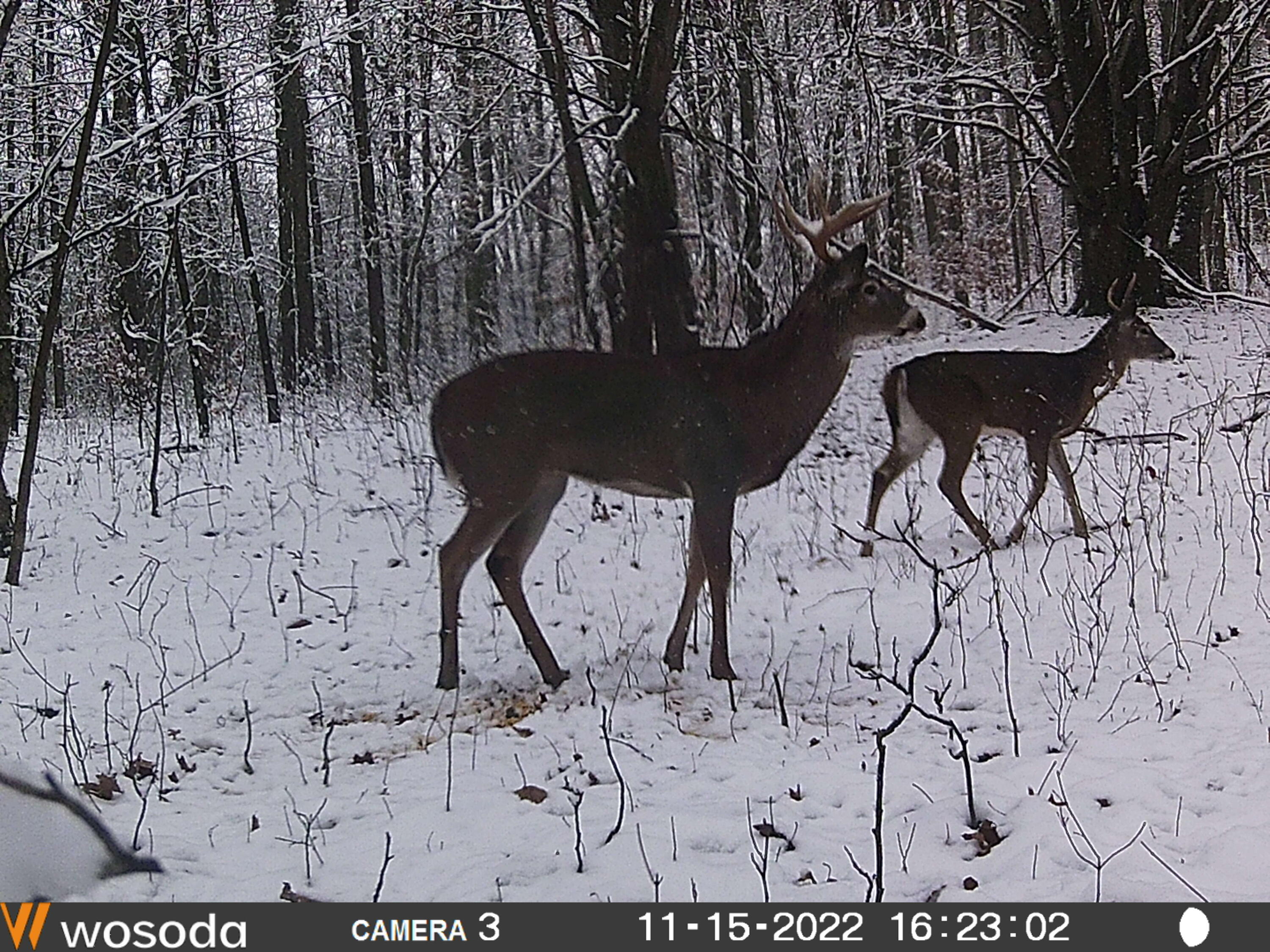 Vl Mud Lake Road Bellevue, MI 49021 - Photo 46 of 48 46 (1)