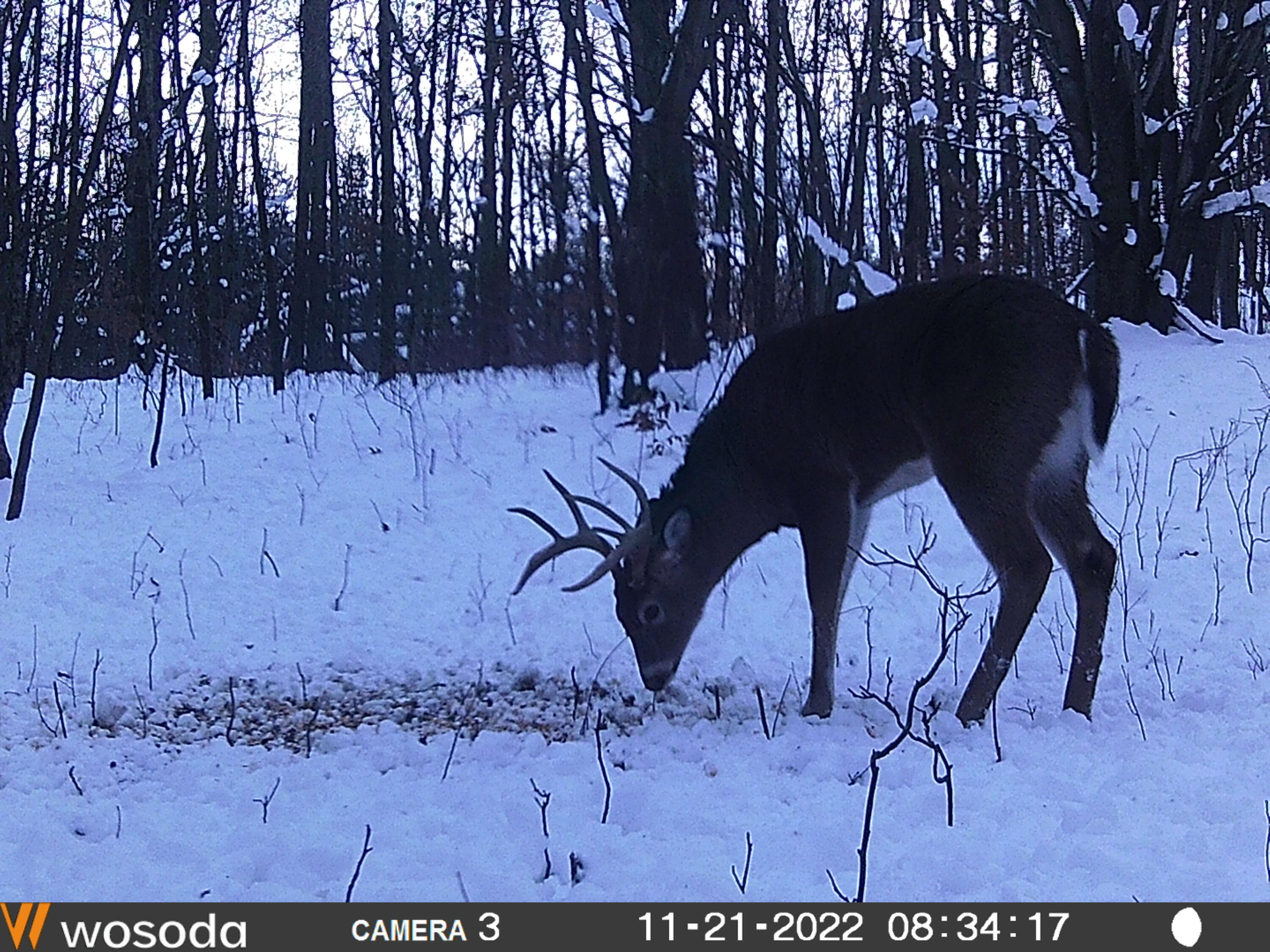 Vl Mud Lake Road Bellevue, MI 49021 - Photo 48 of 48 48