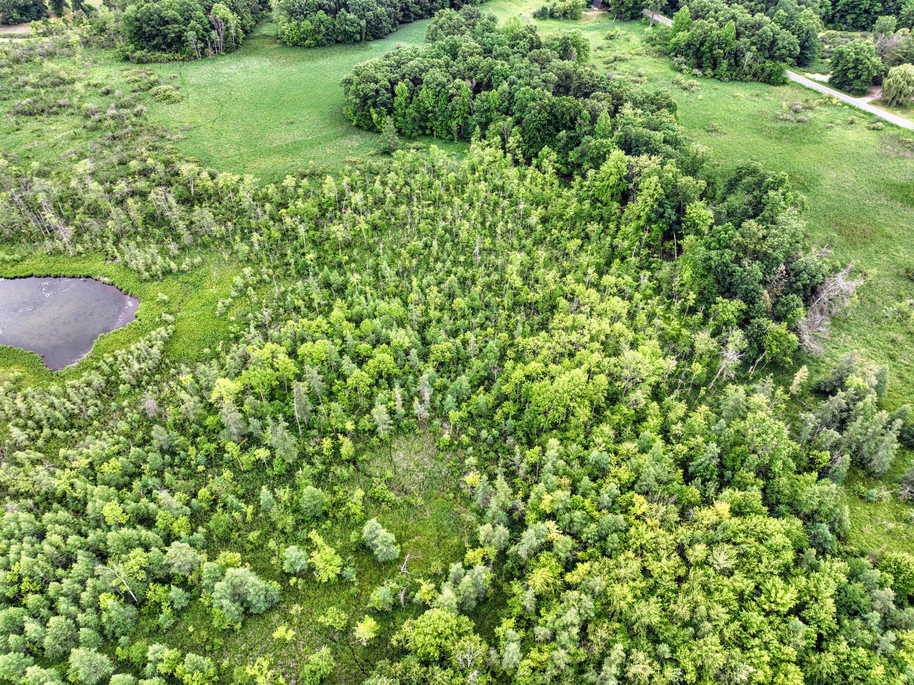 Vl Mud Lake Road Bellevue, MI 49021 - Photo 6 of 48 6