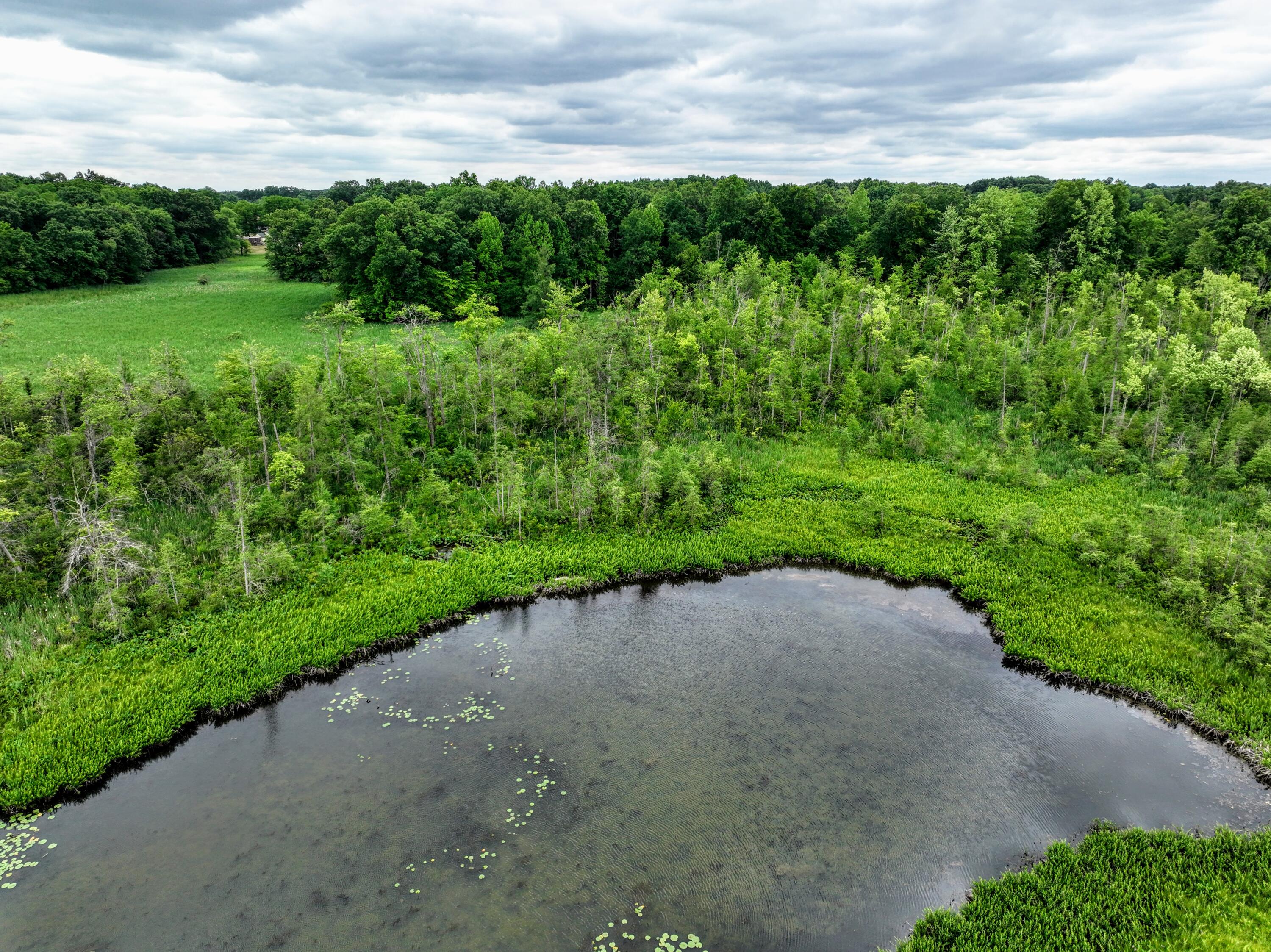 Vl Mud Lake Road Bellevue, MI 49021 - Photo 8 of 48 8